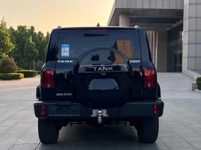 TANK 300