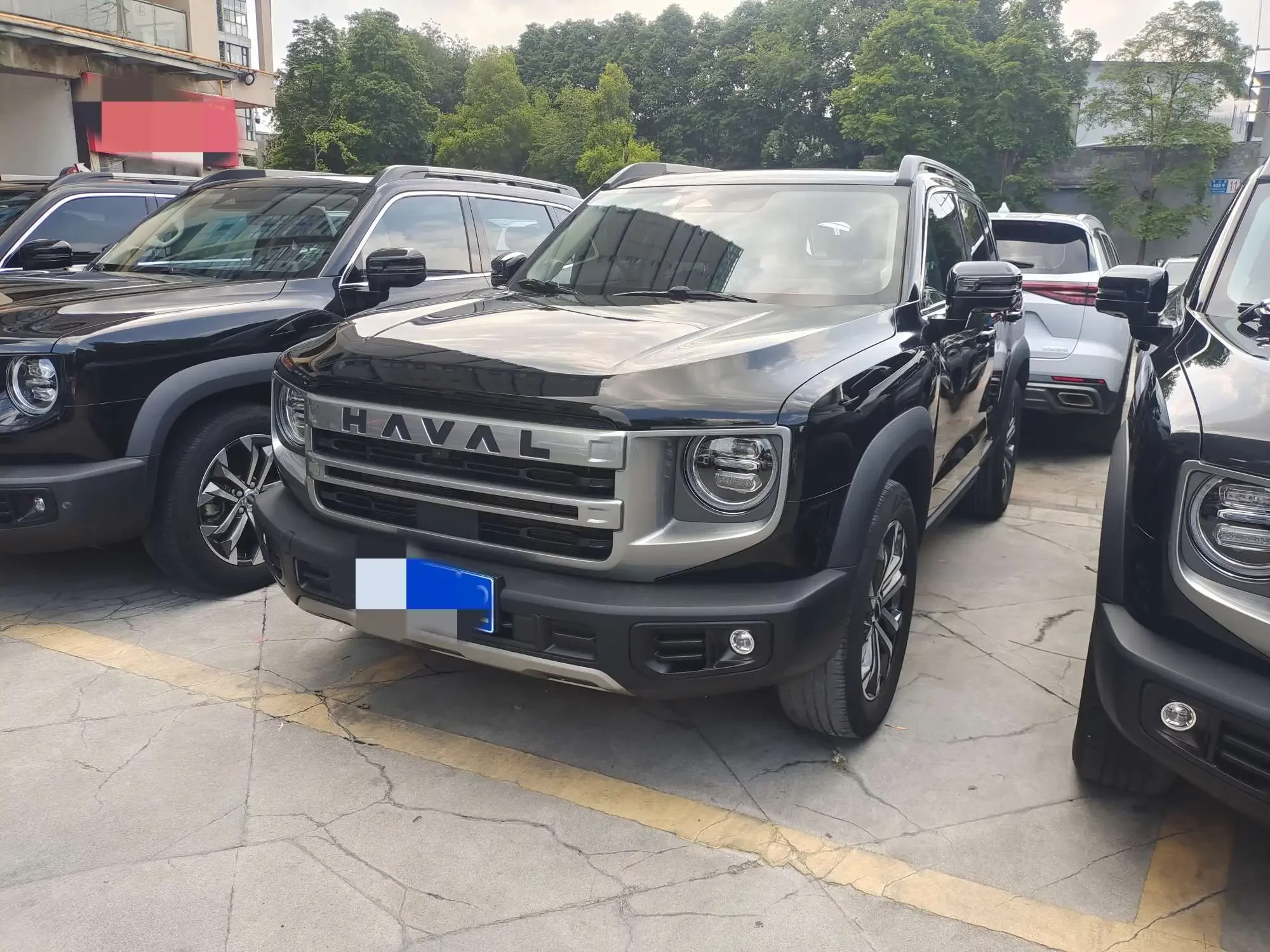 Haval Dargo