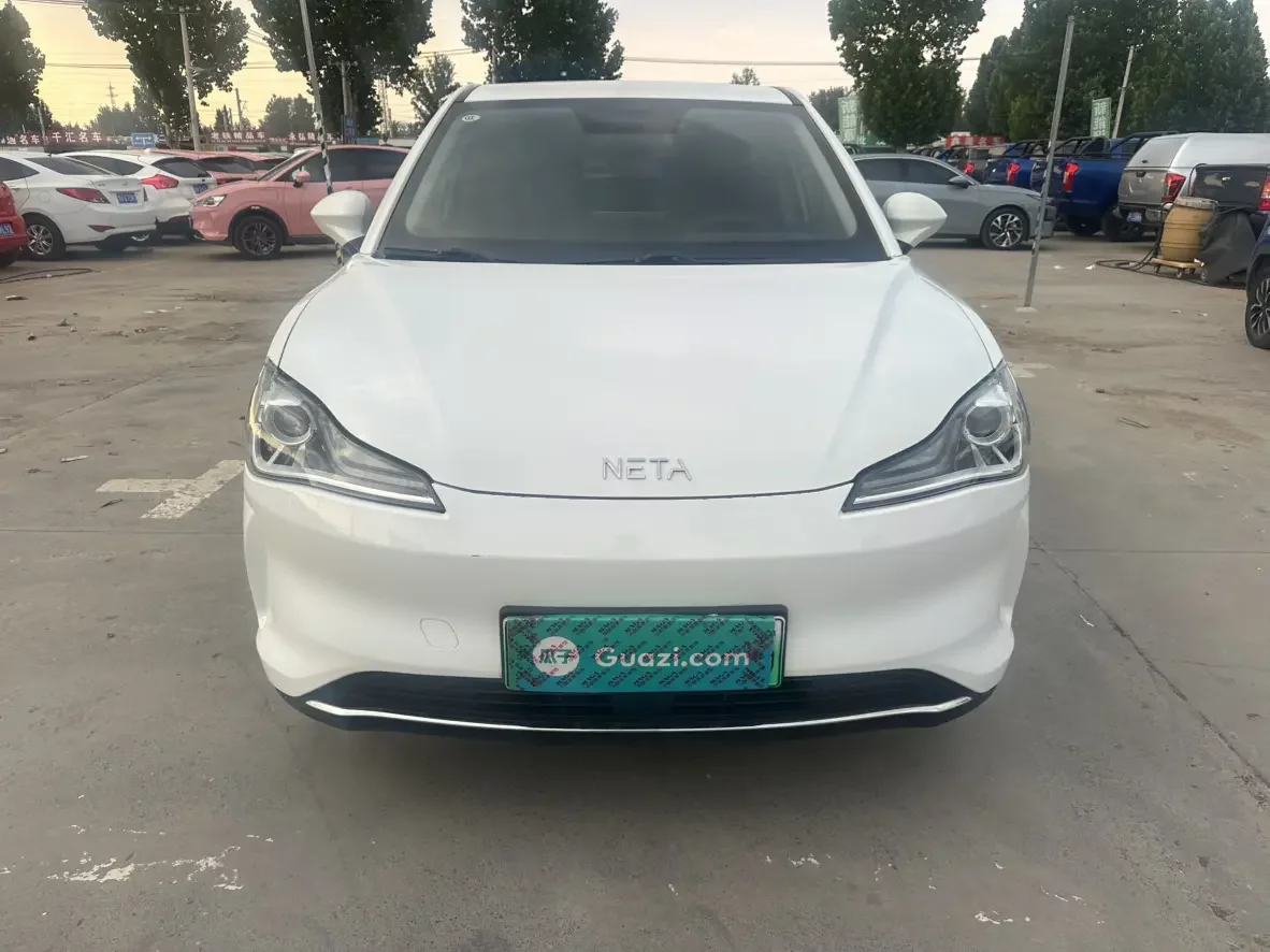 NETA V