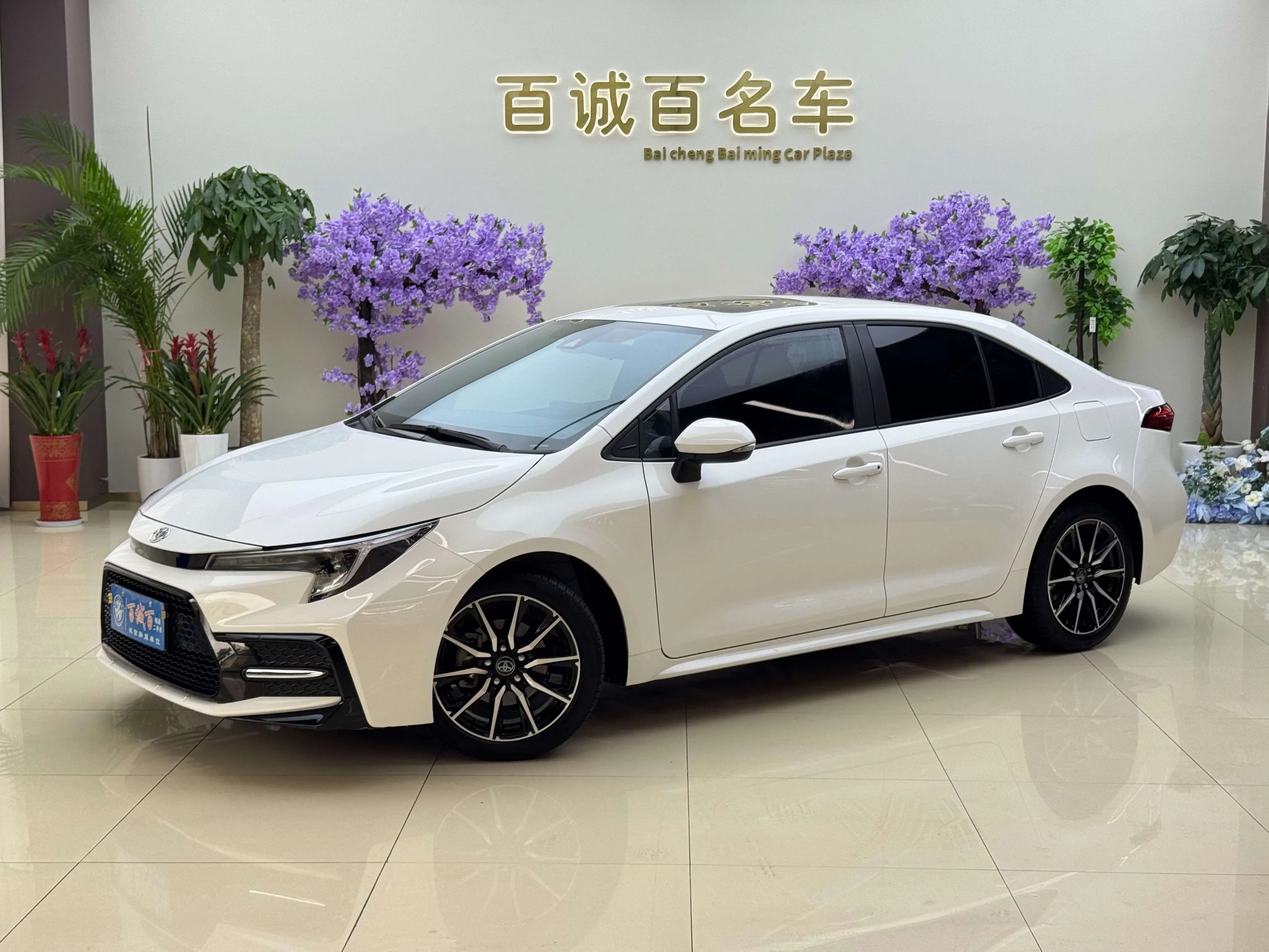 Toyota Levin
