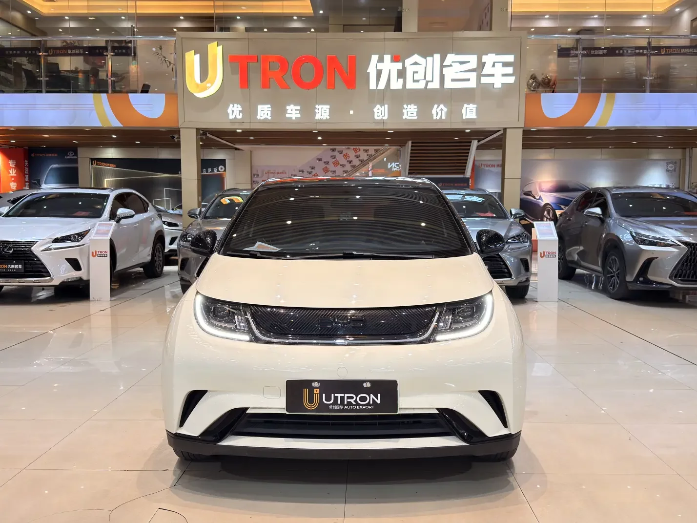 BYD Dolphin