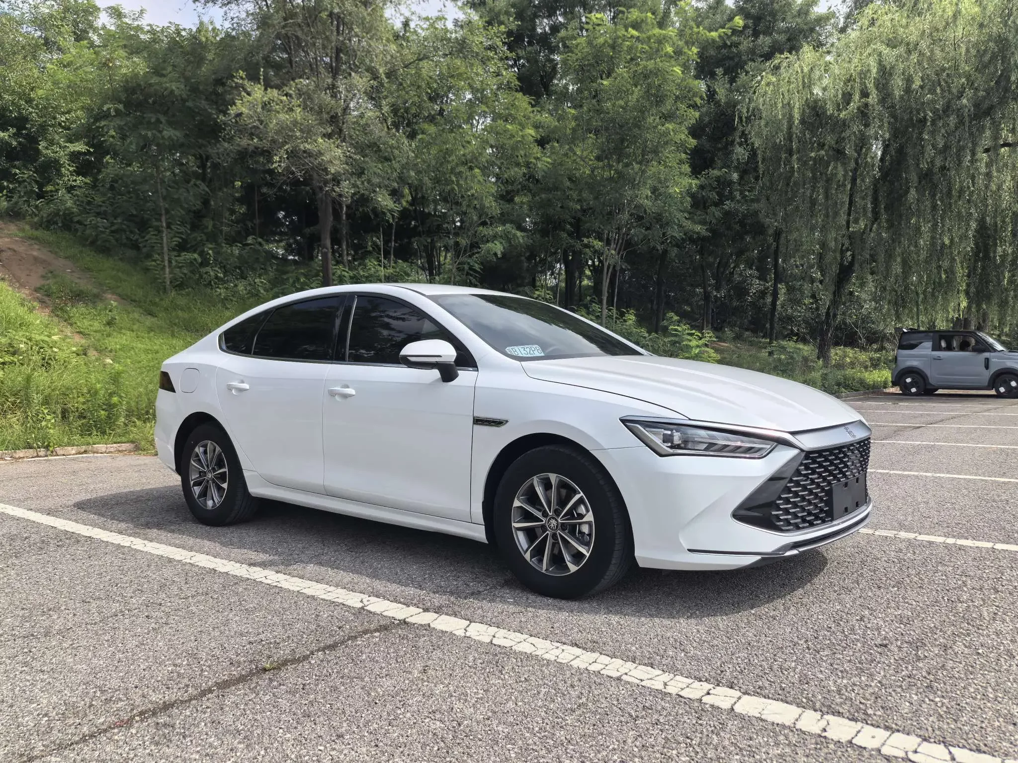 BYD Qin PLUS DM