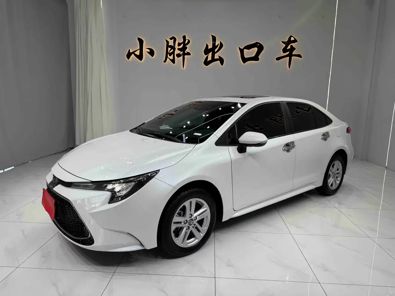 TOYOTA LEVIN