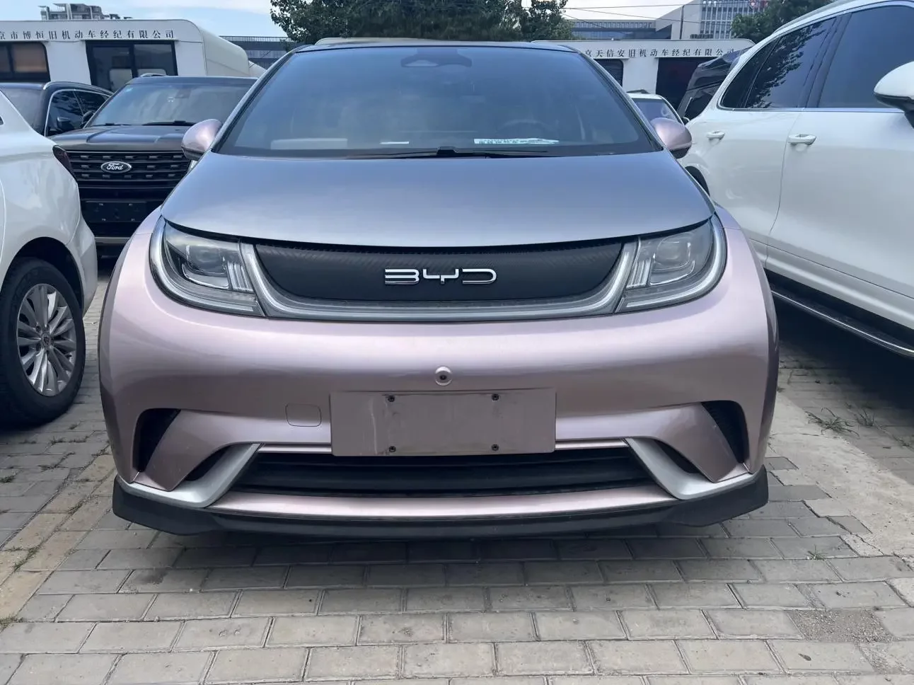 BYD Dolphin