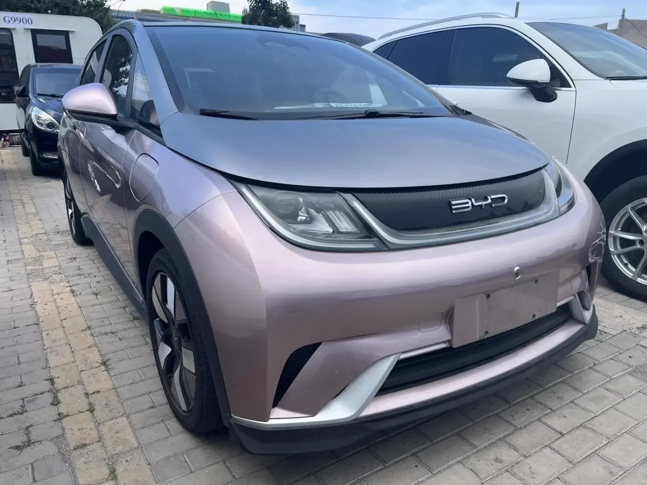 BYD Dolphin