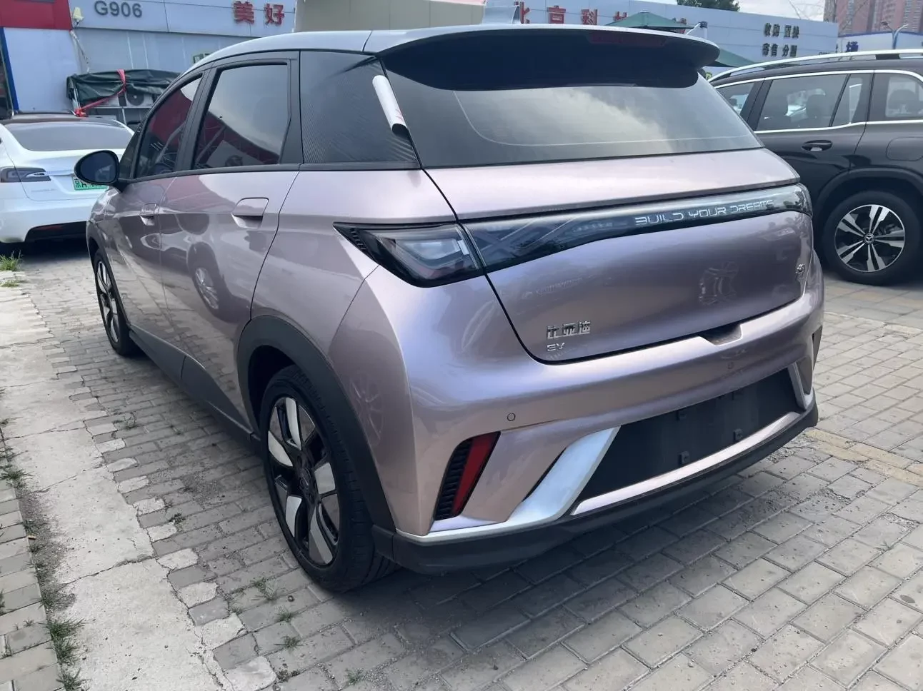 BYD Dolphin
