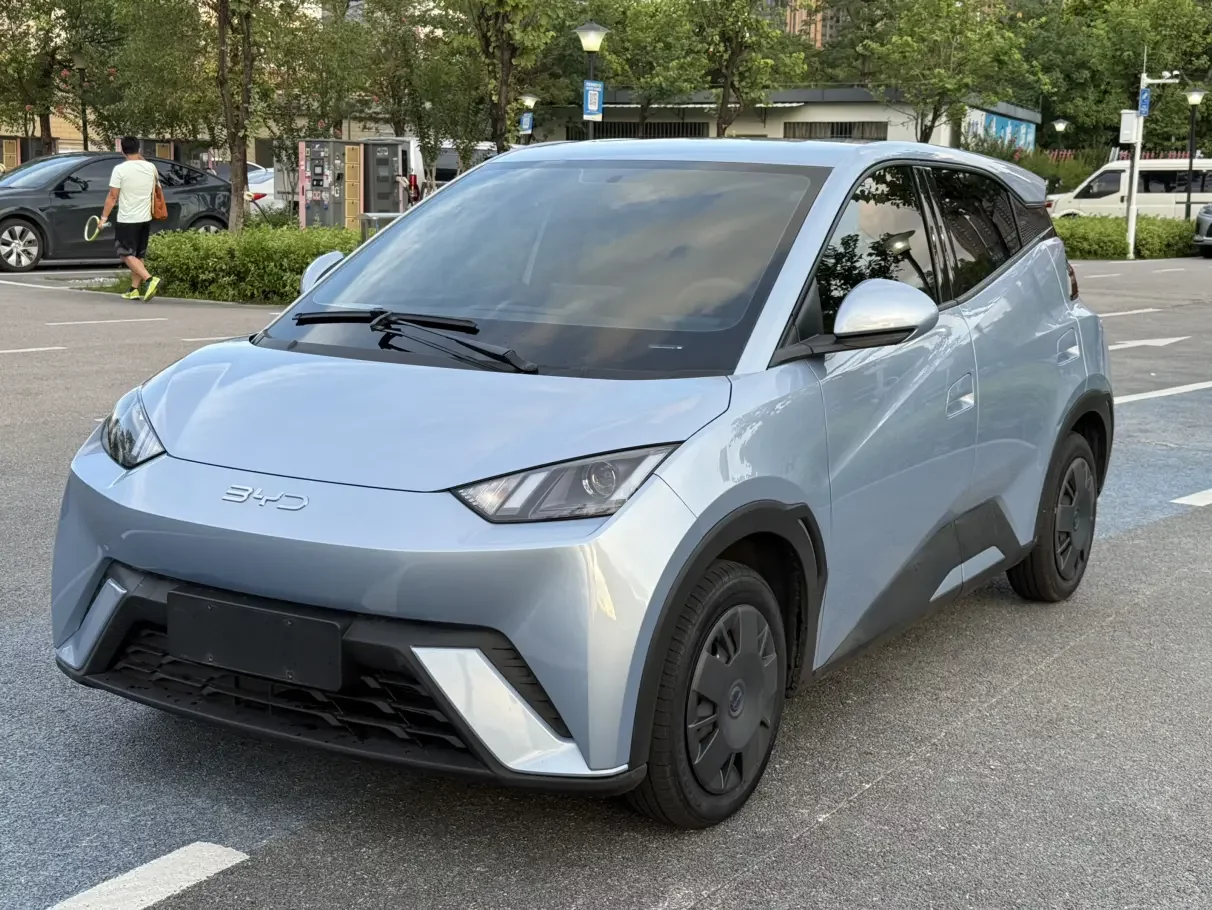 BYD Seagull