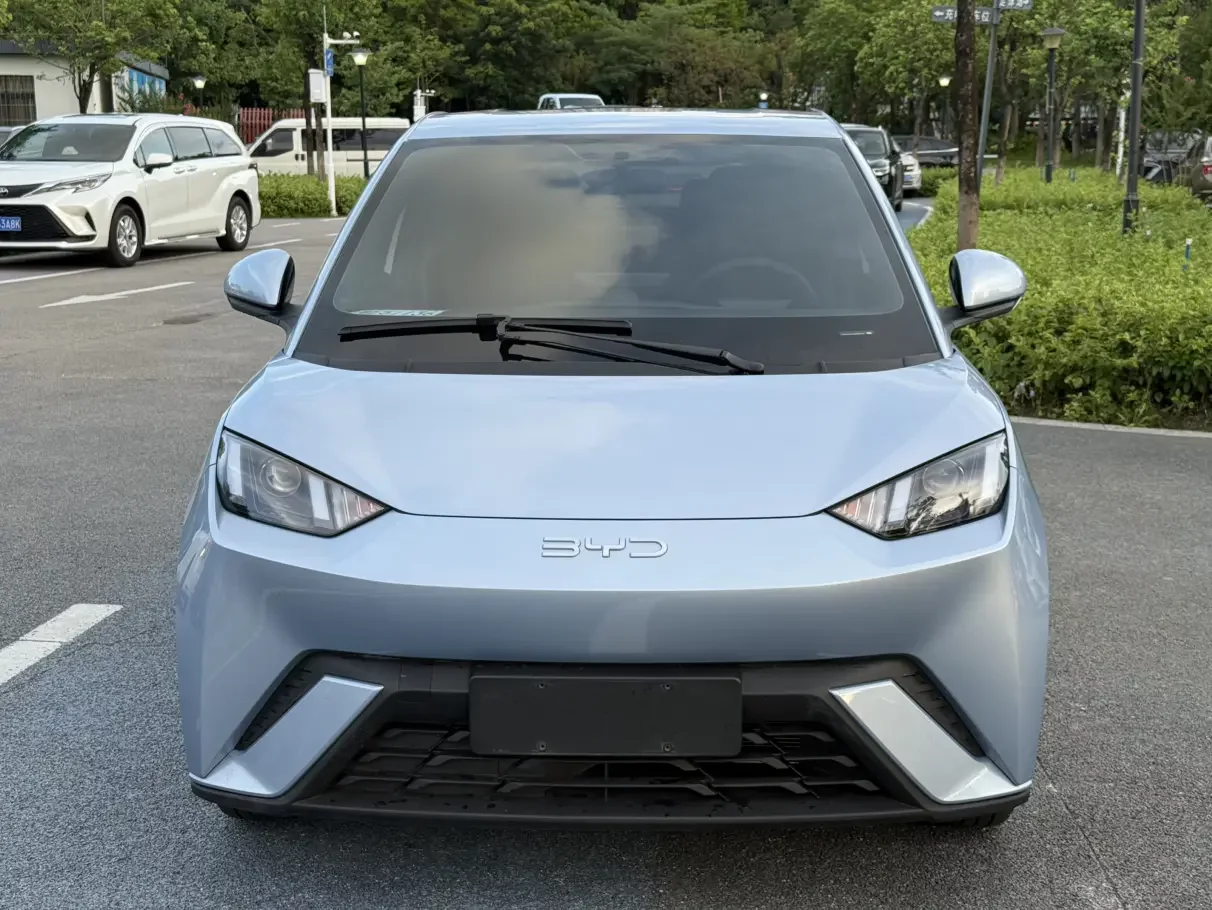 BYD Seagull