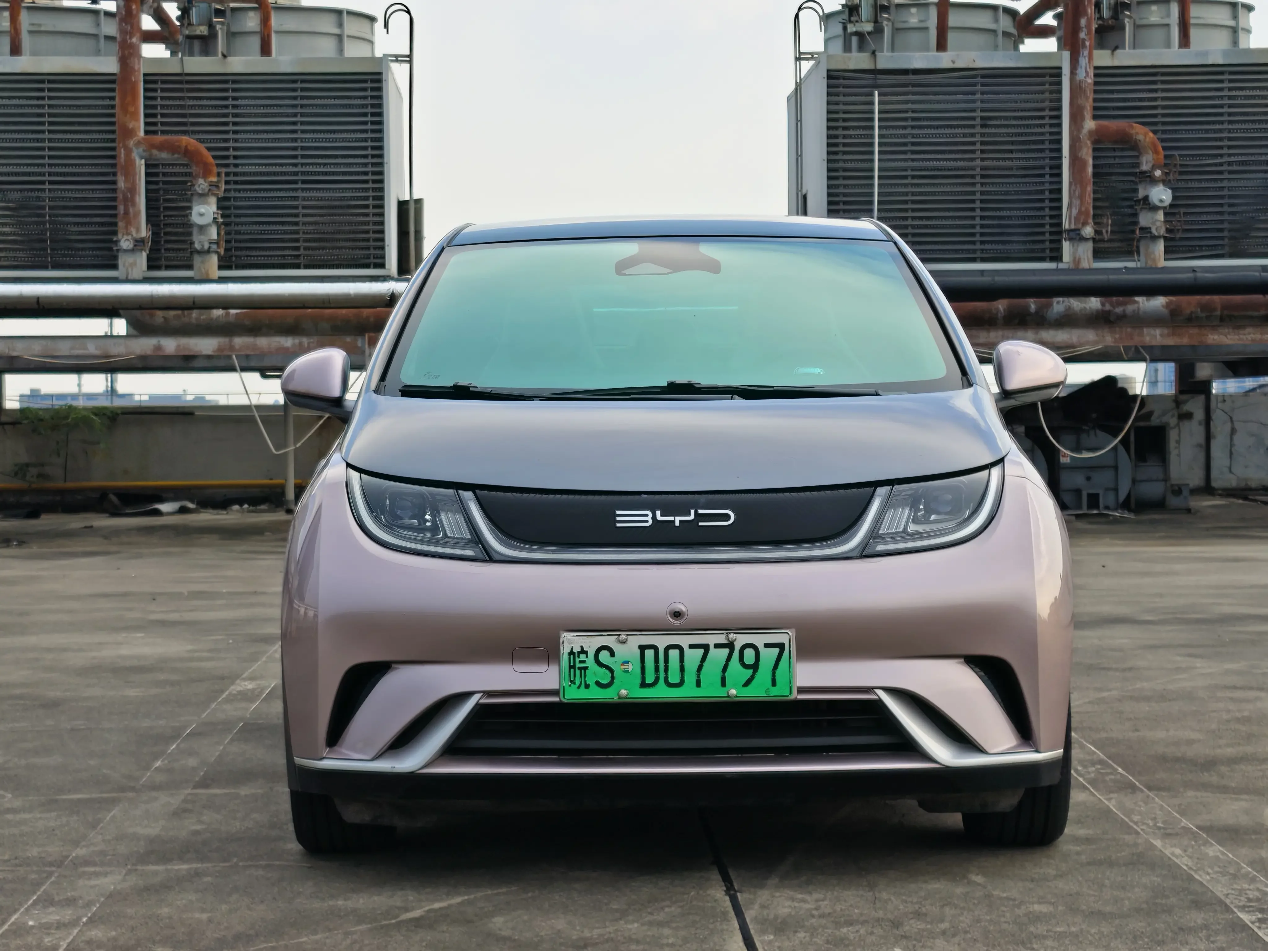 BYD Dolphin