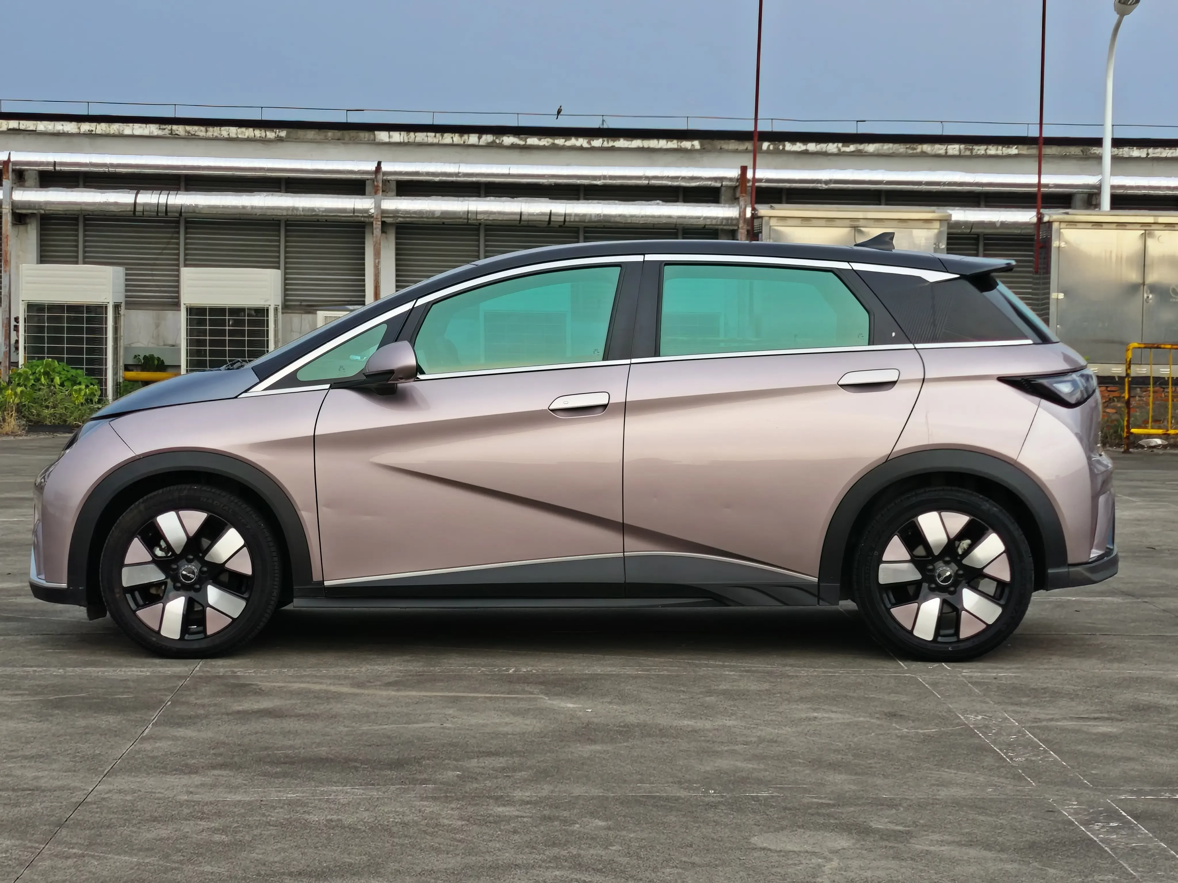 BYD Dolphin