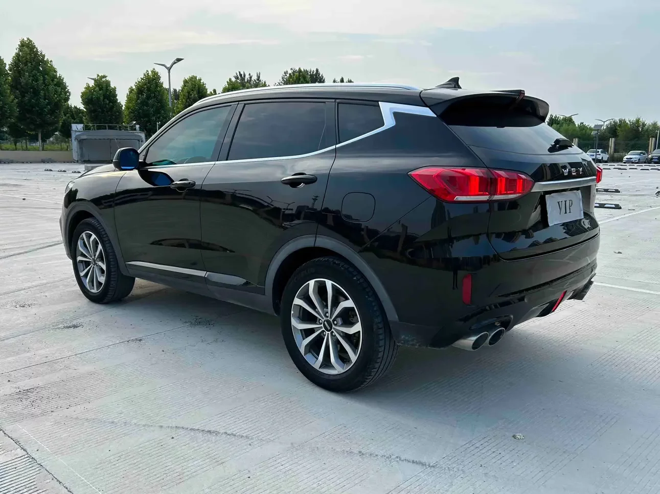 Wey Wei brand VV6