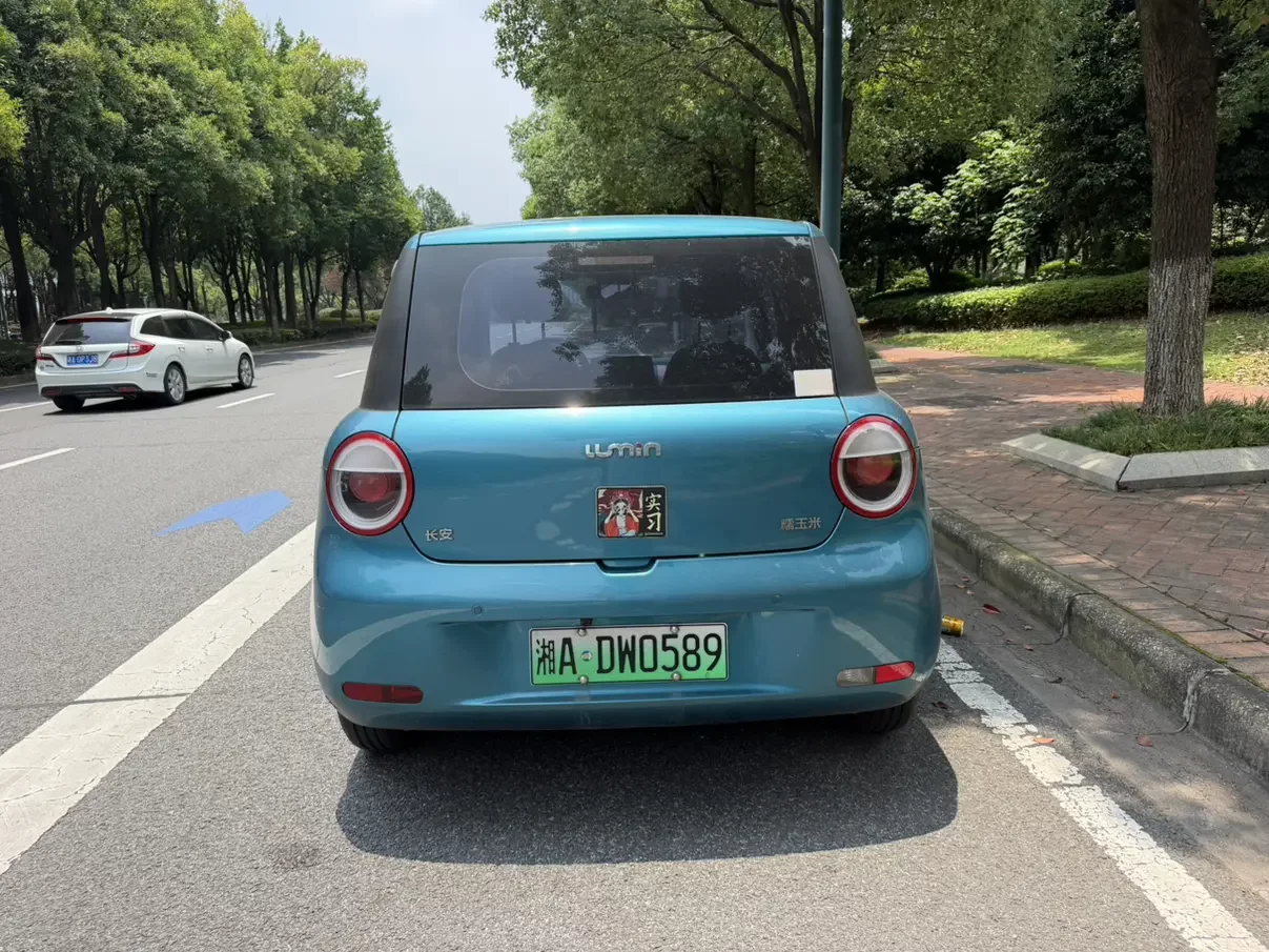 Changan Lumin