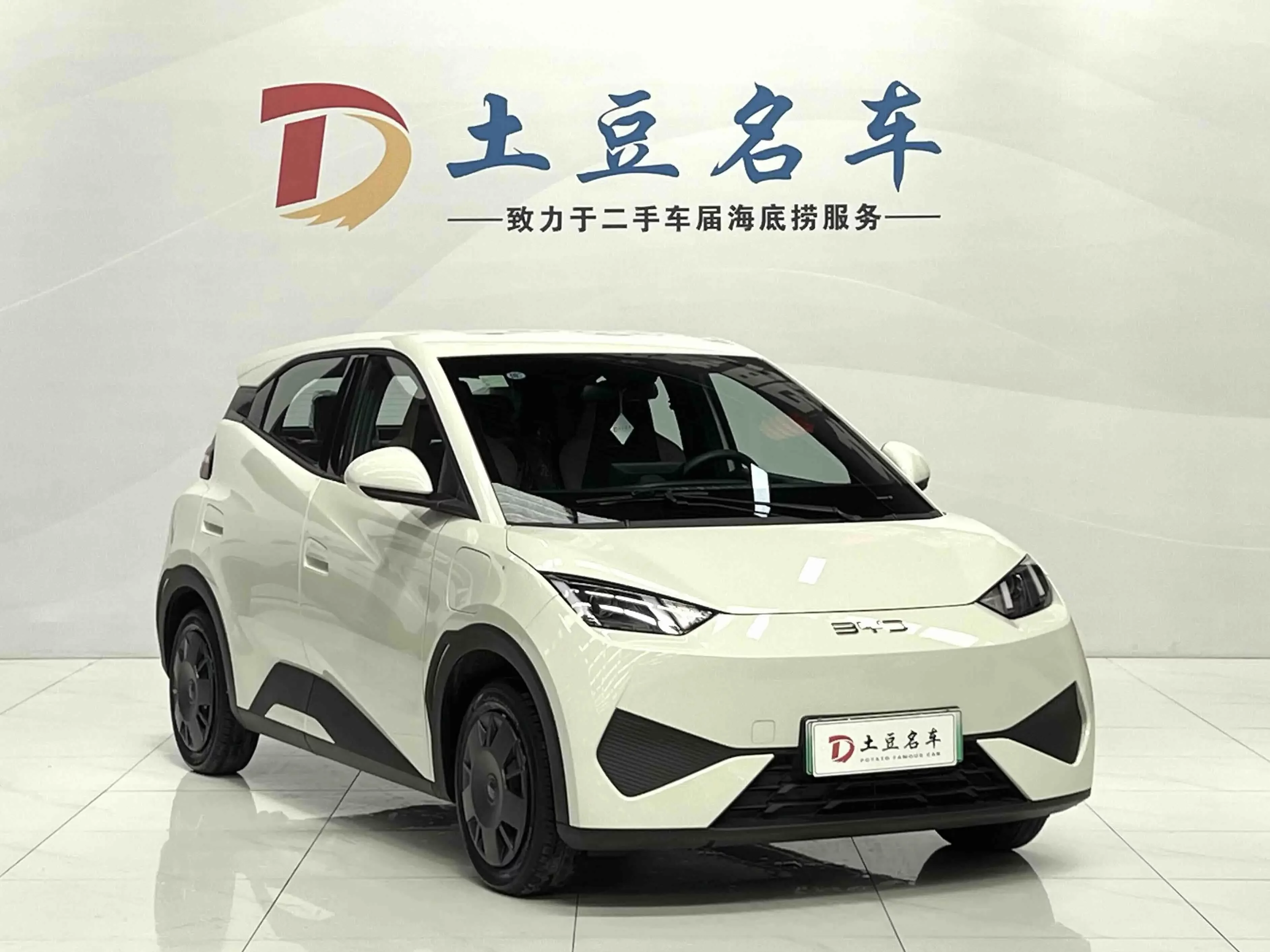 BYD seagull