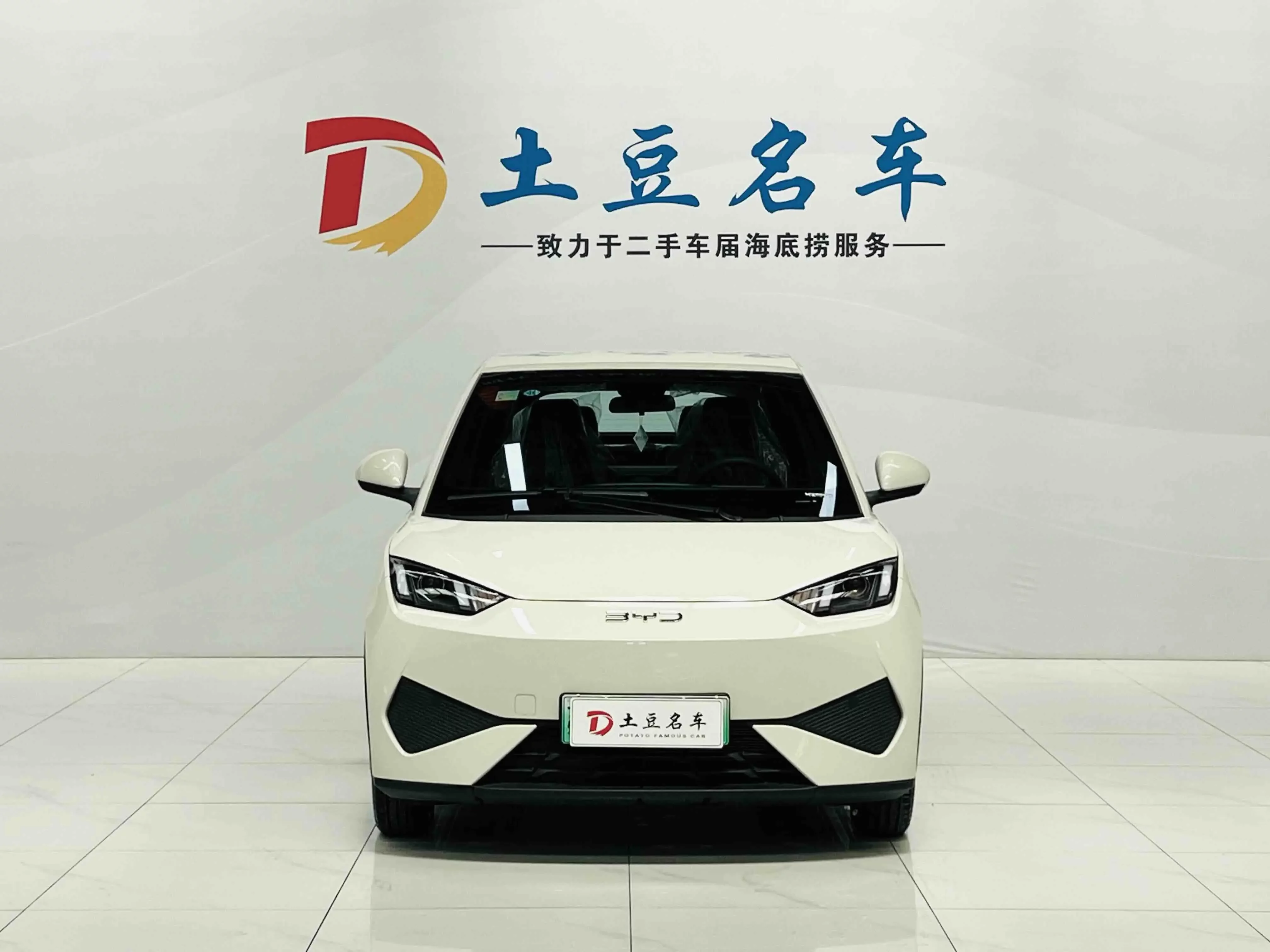 BYD Seagull