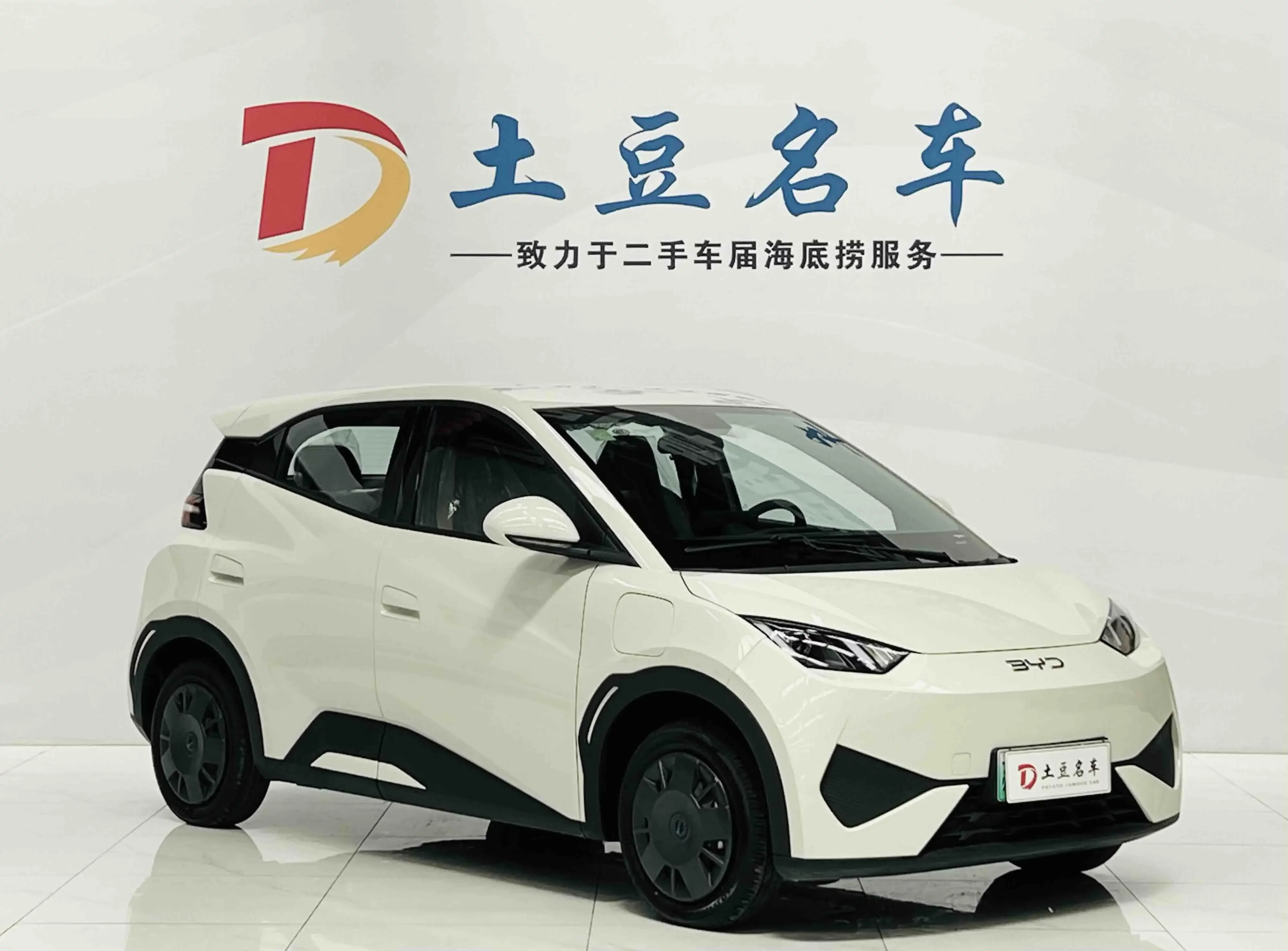 BYD Seagull