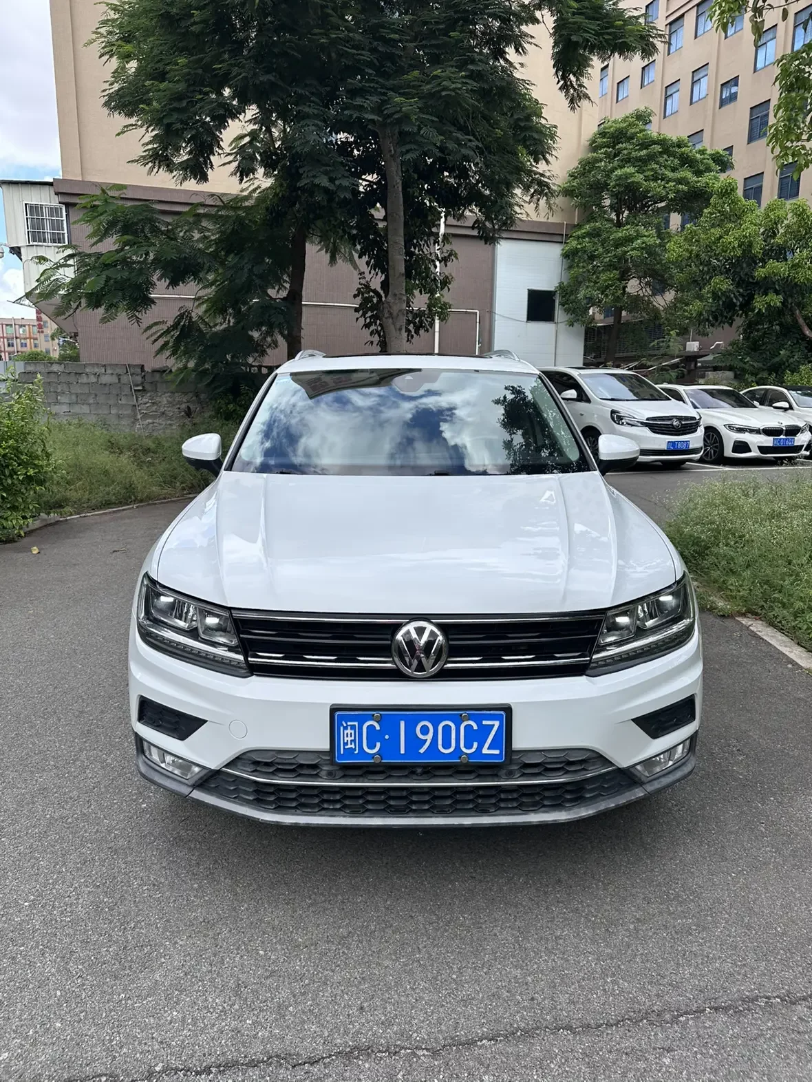 Volkswagen Tiguan