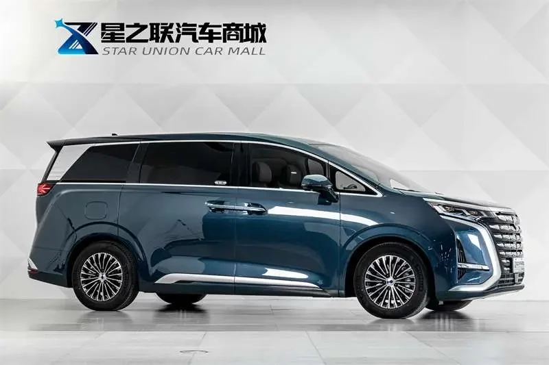 Denza D9 DM