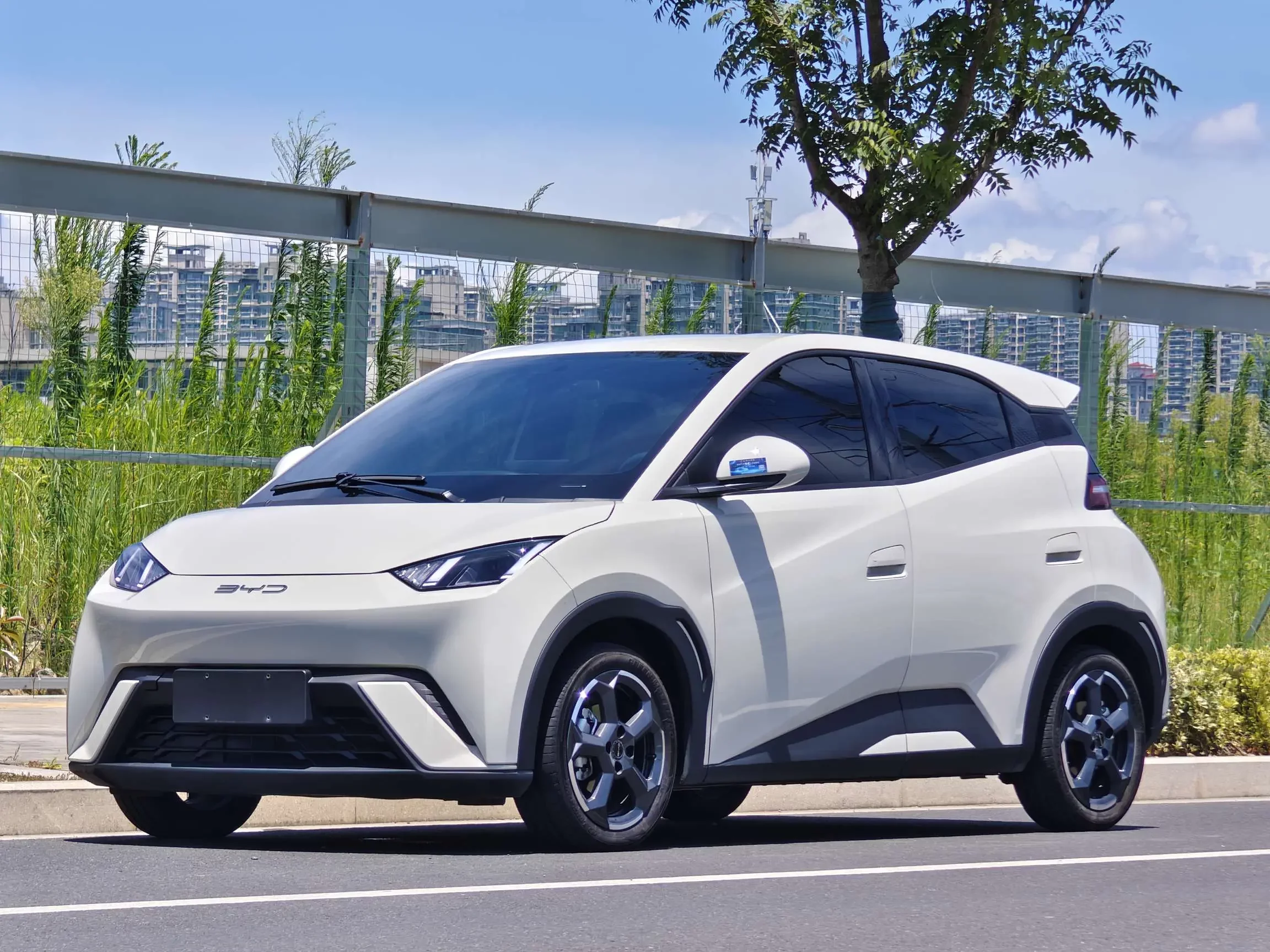 BYD SEAGULL