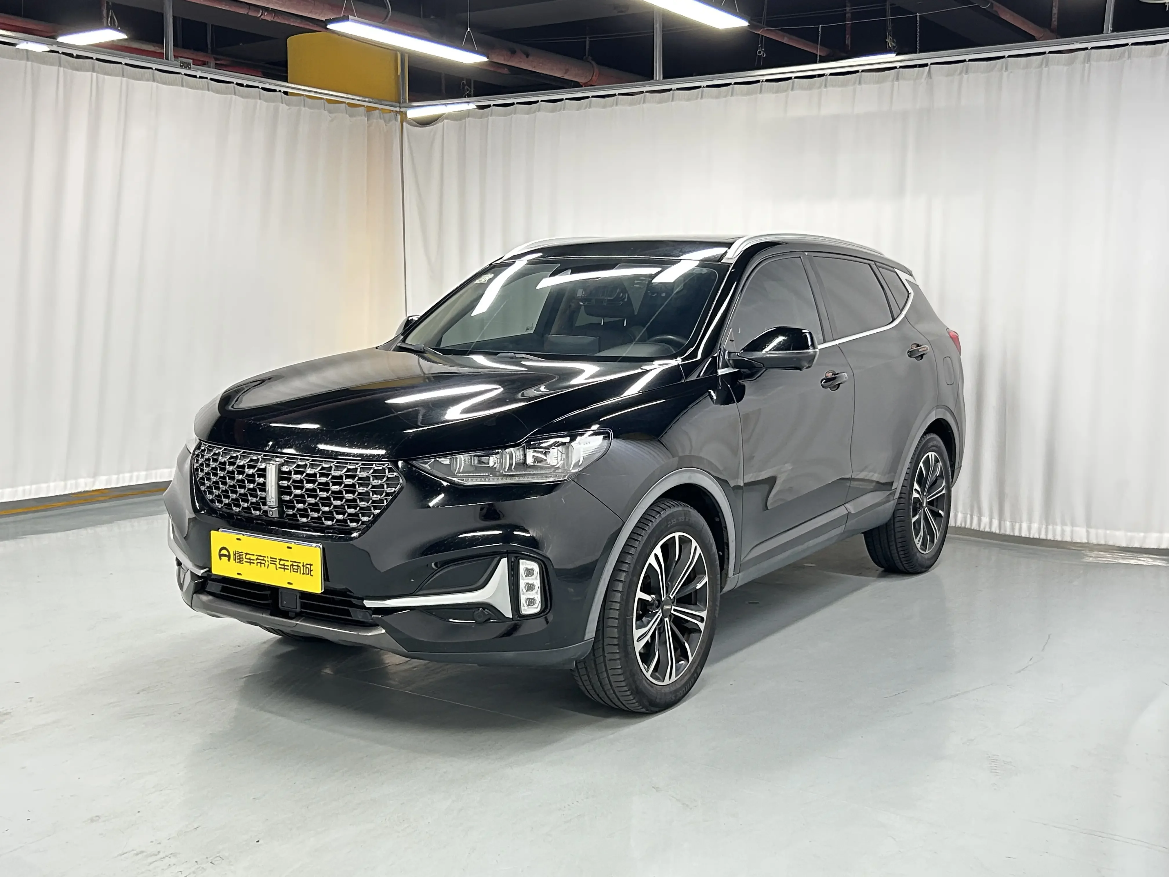 Wey Wei brand VV6