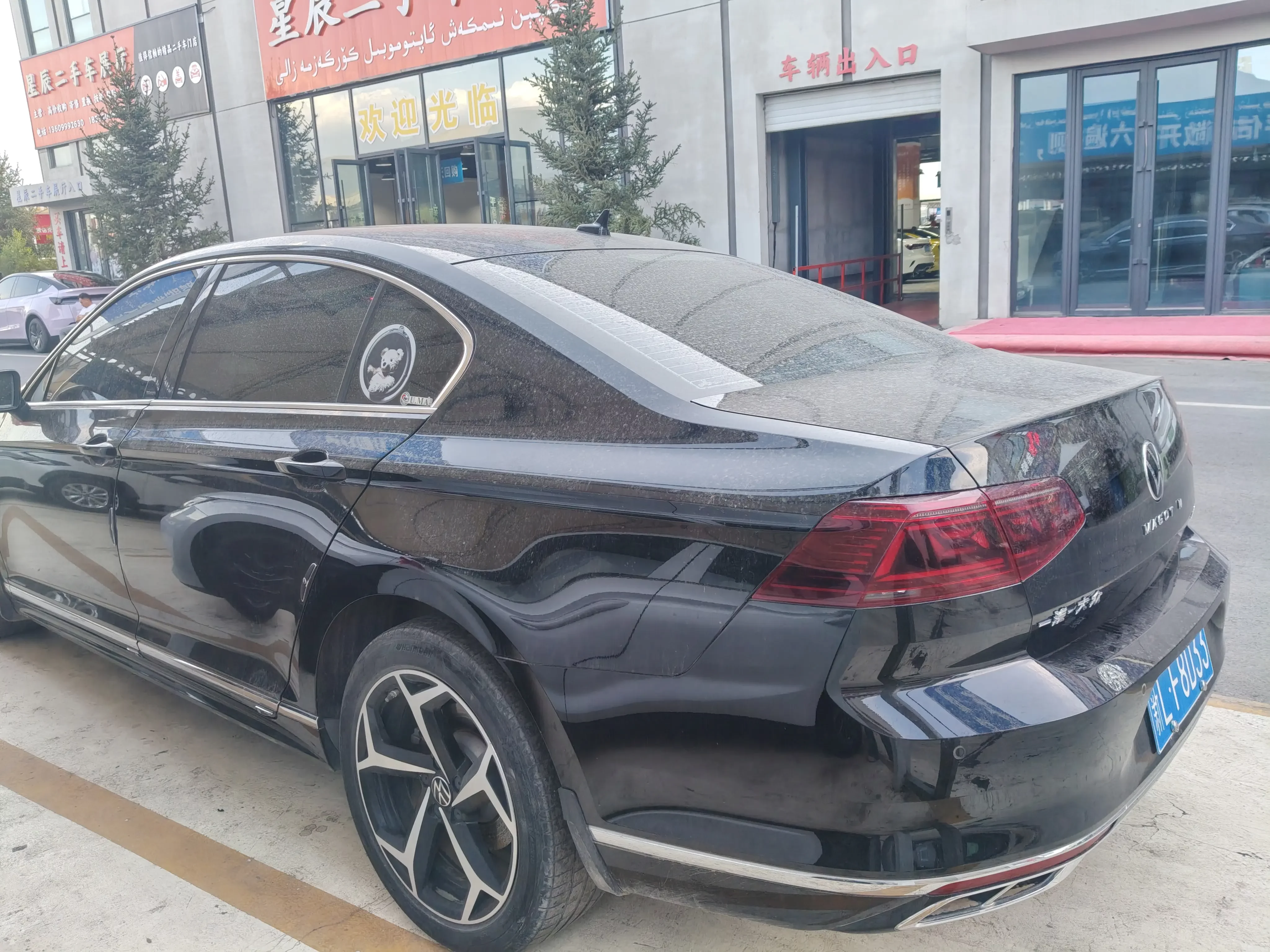 Volkswagen Magotan