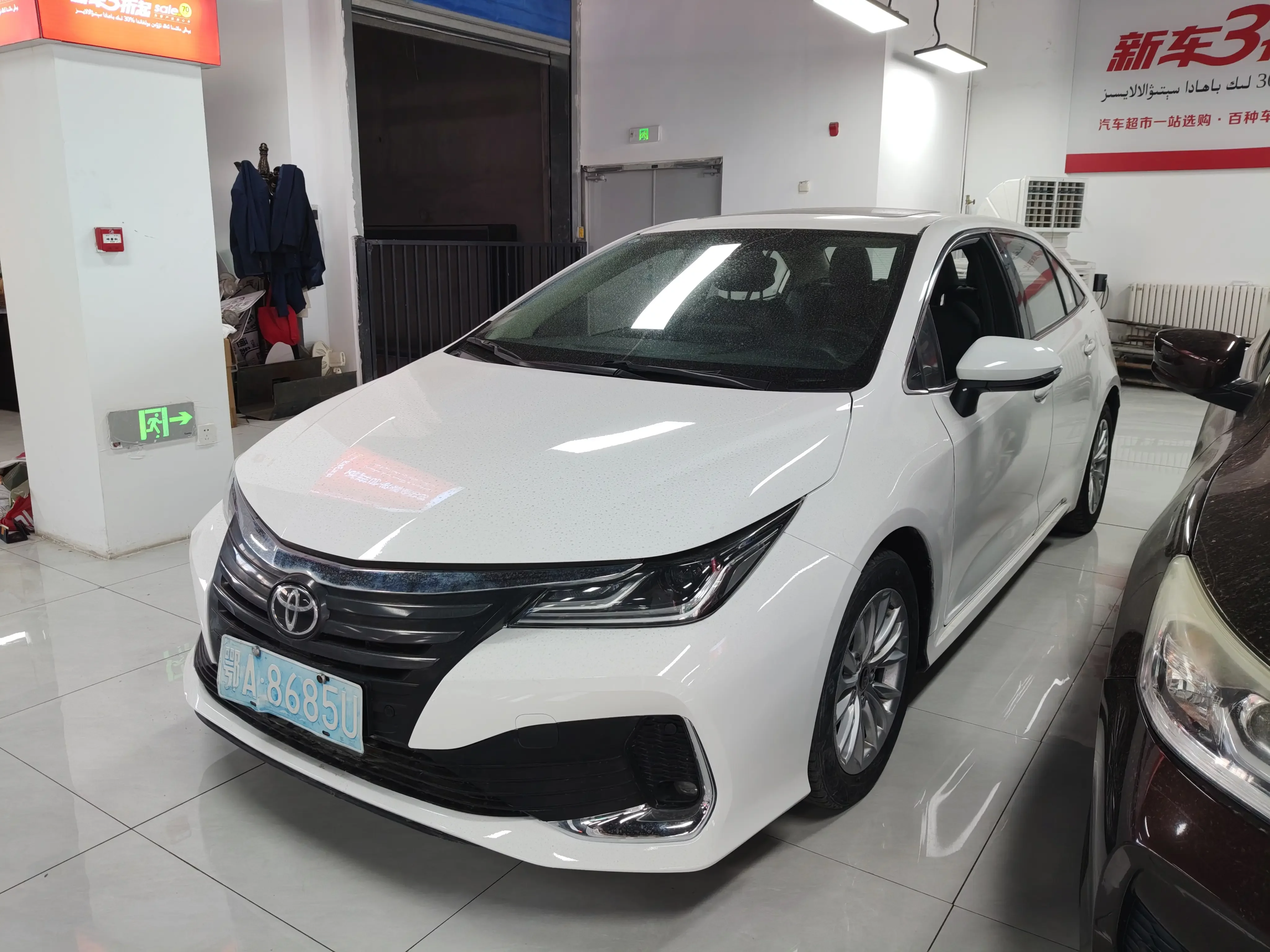 Toyota Asiatic lion