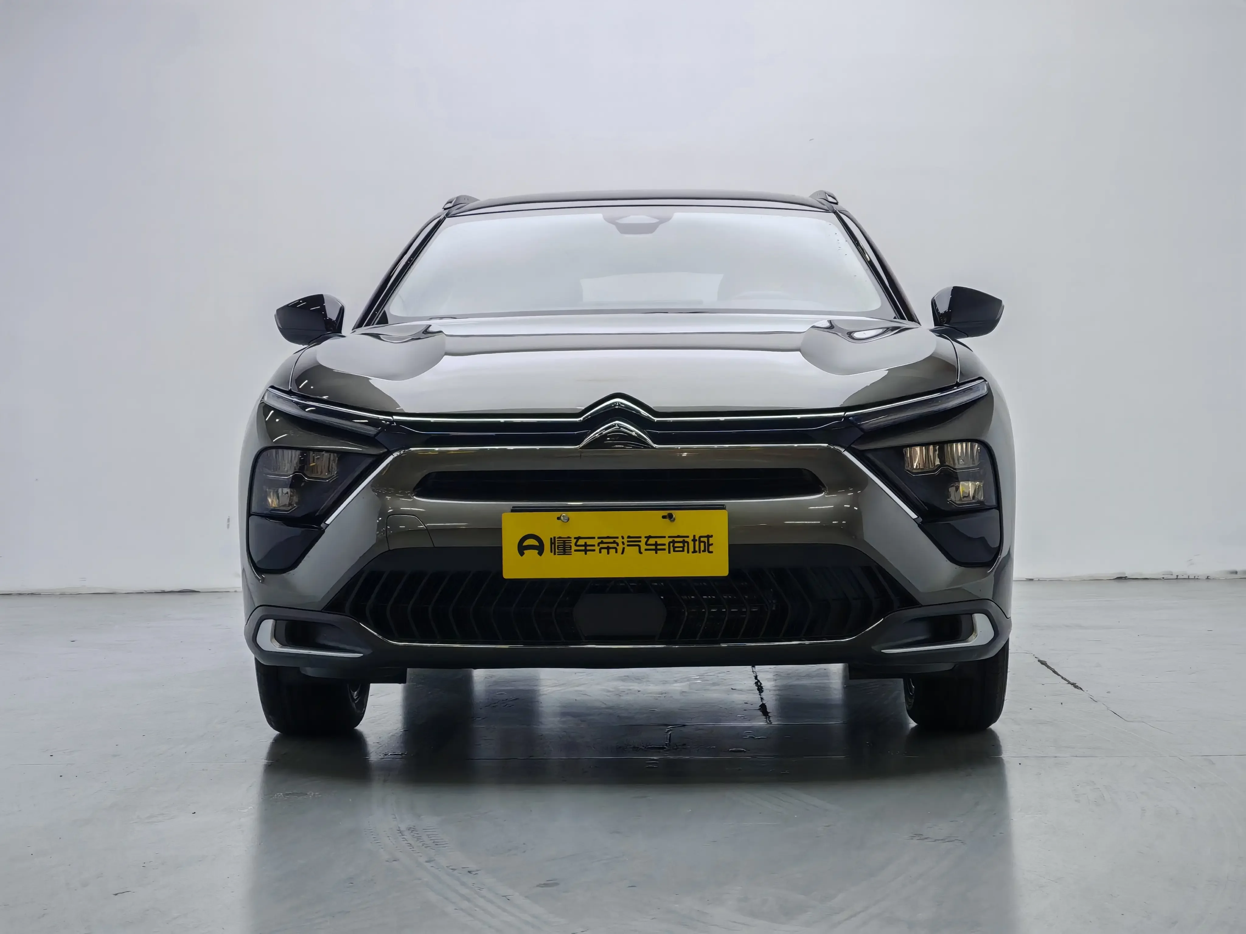 Citroën Versailles C5 X