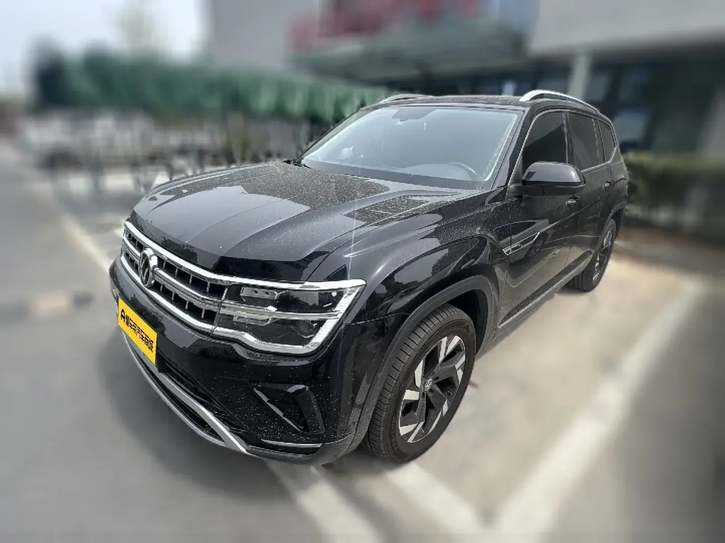 VOLKSWAGEN TERAMONT