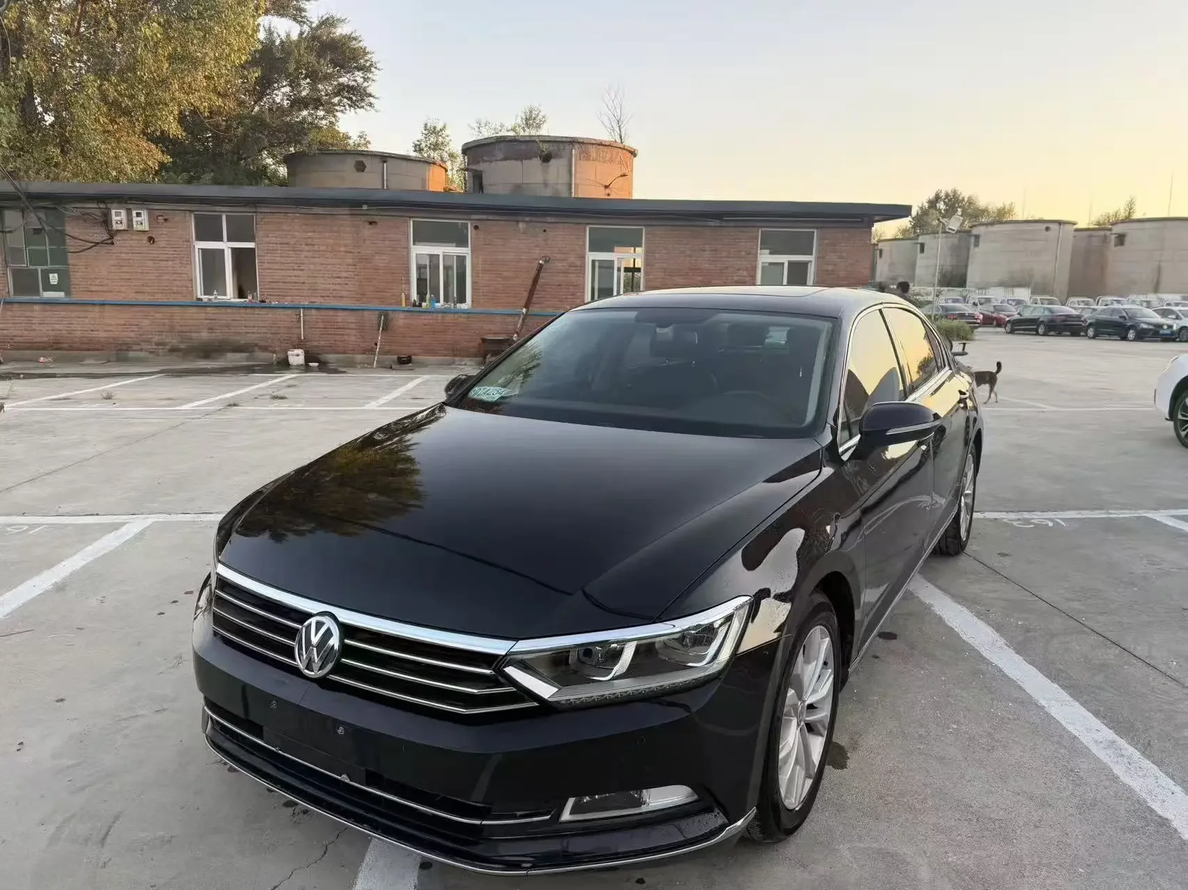 Volkswagen Magotan