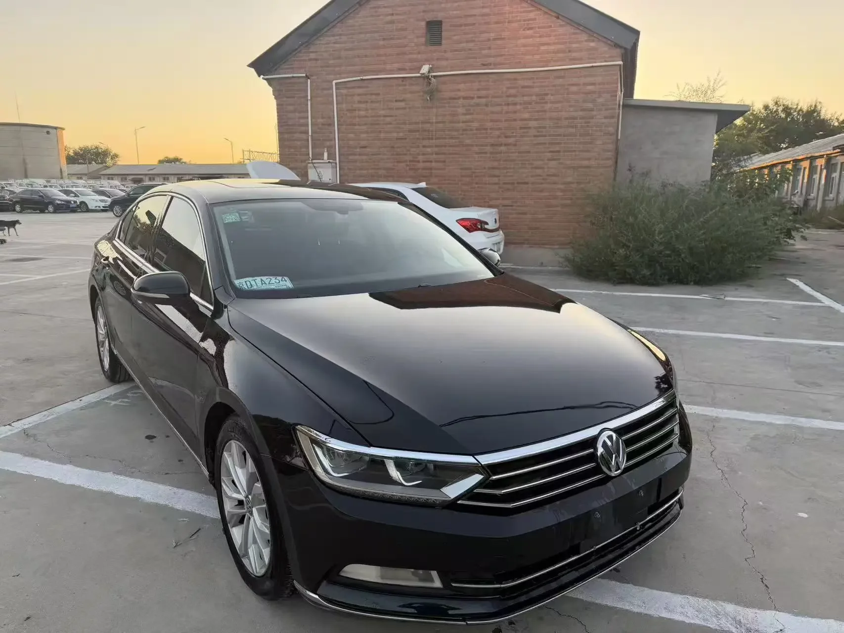Volkswagen Magotan