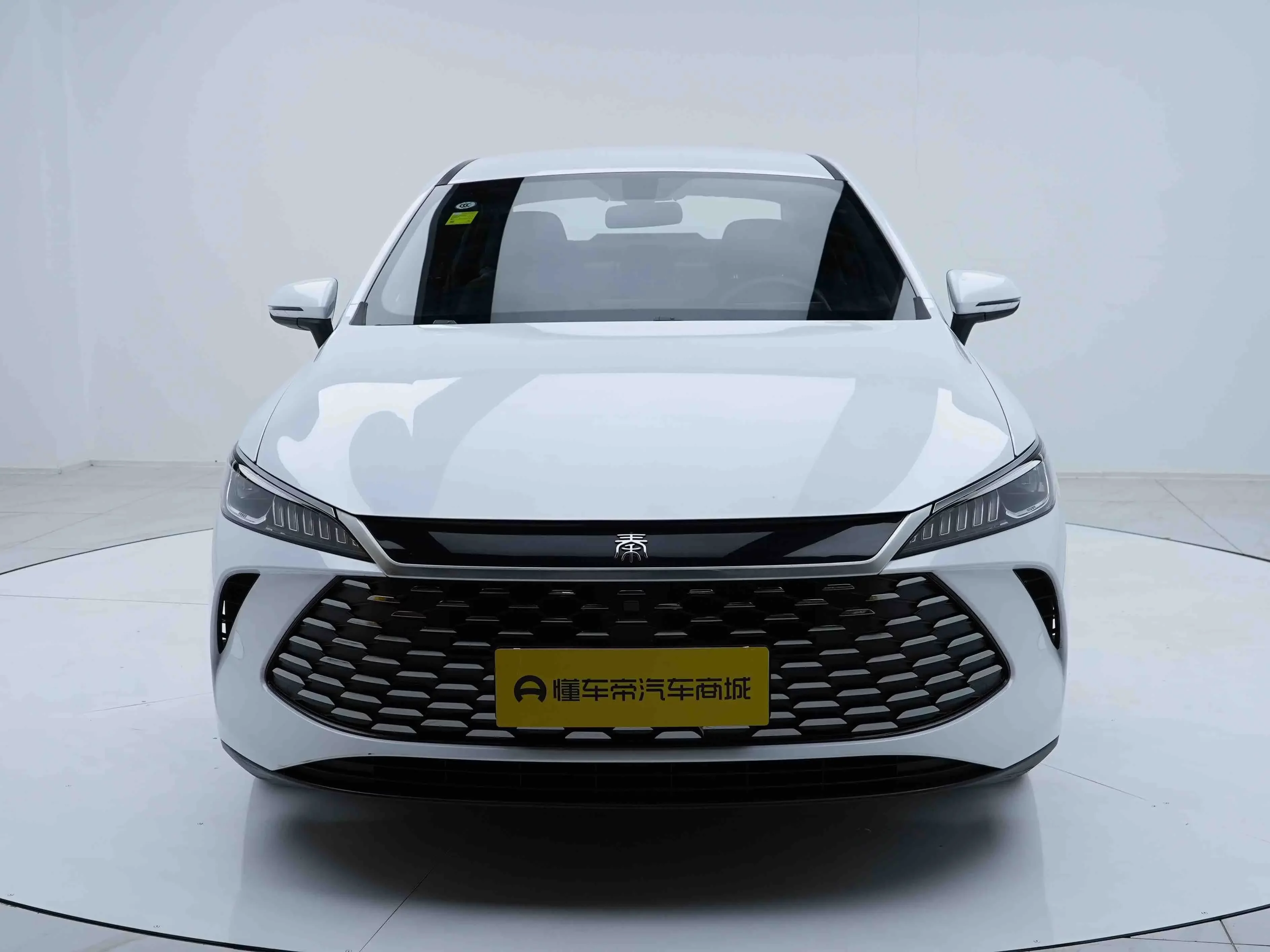 BYD Qin PLUS DM