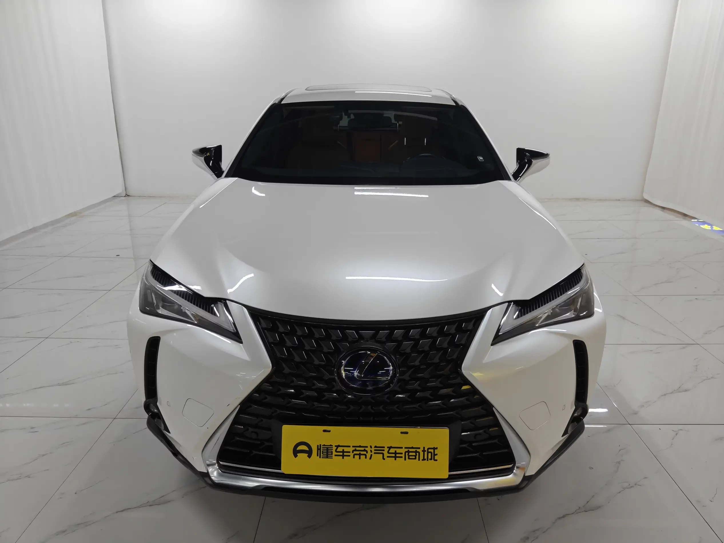 Lexus UX EV