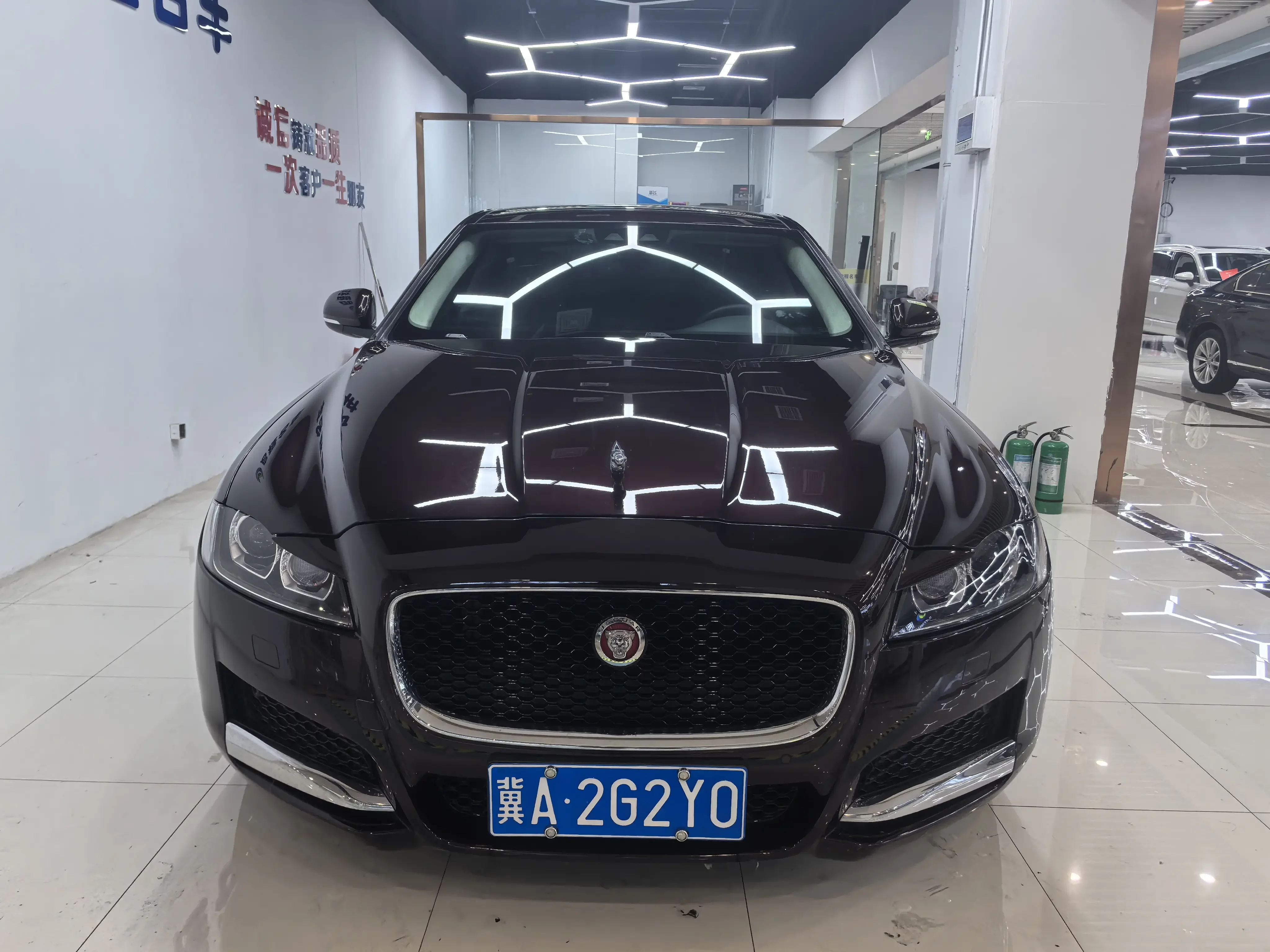 Jaguar XFL