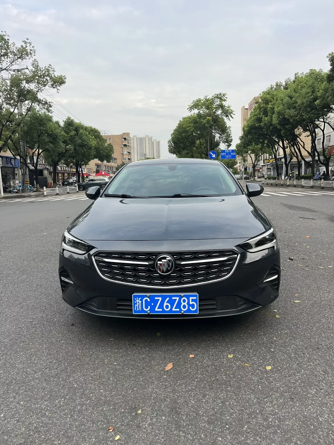 Buick Majesty
