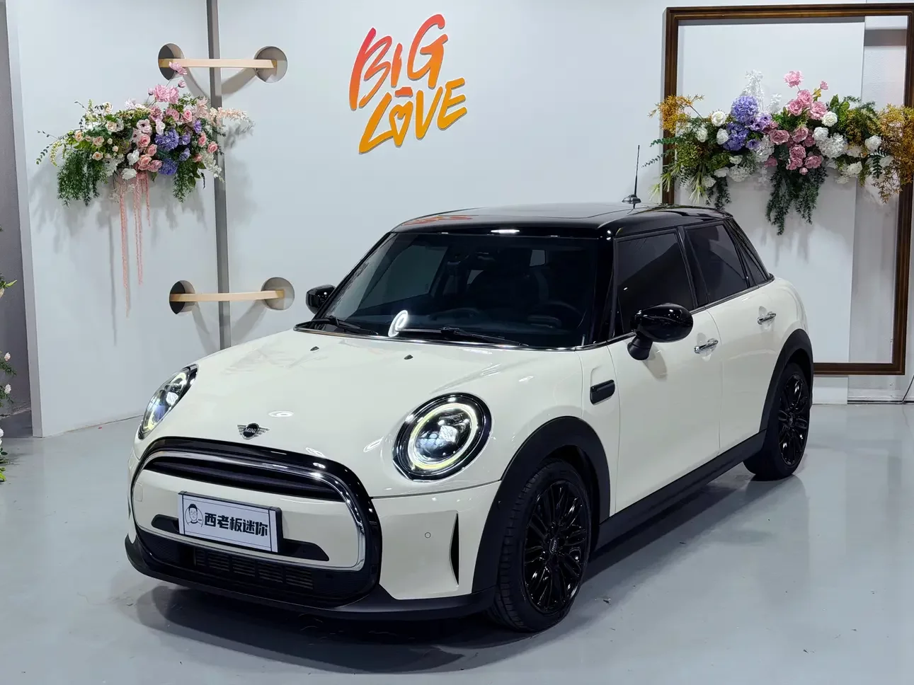 MINI MINI