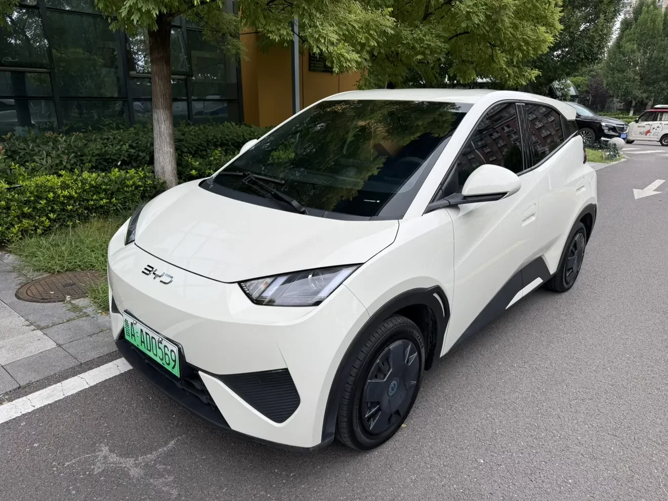 BYD Seagull