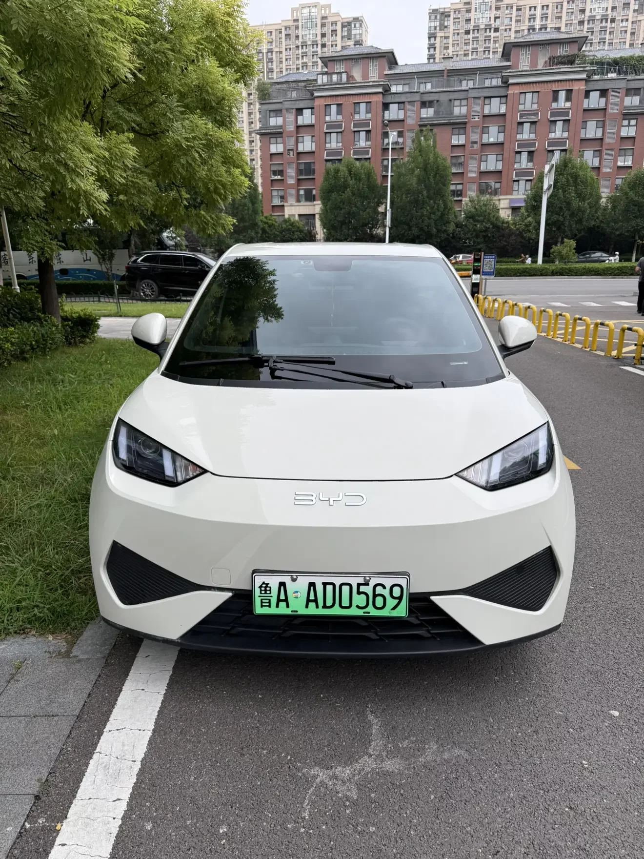 BYD Seagull