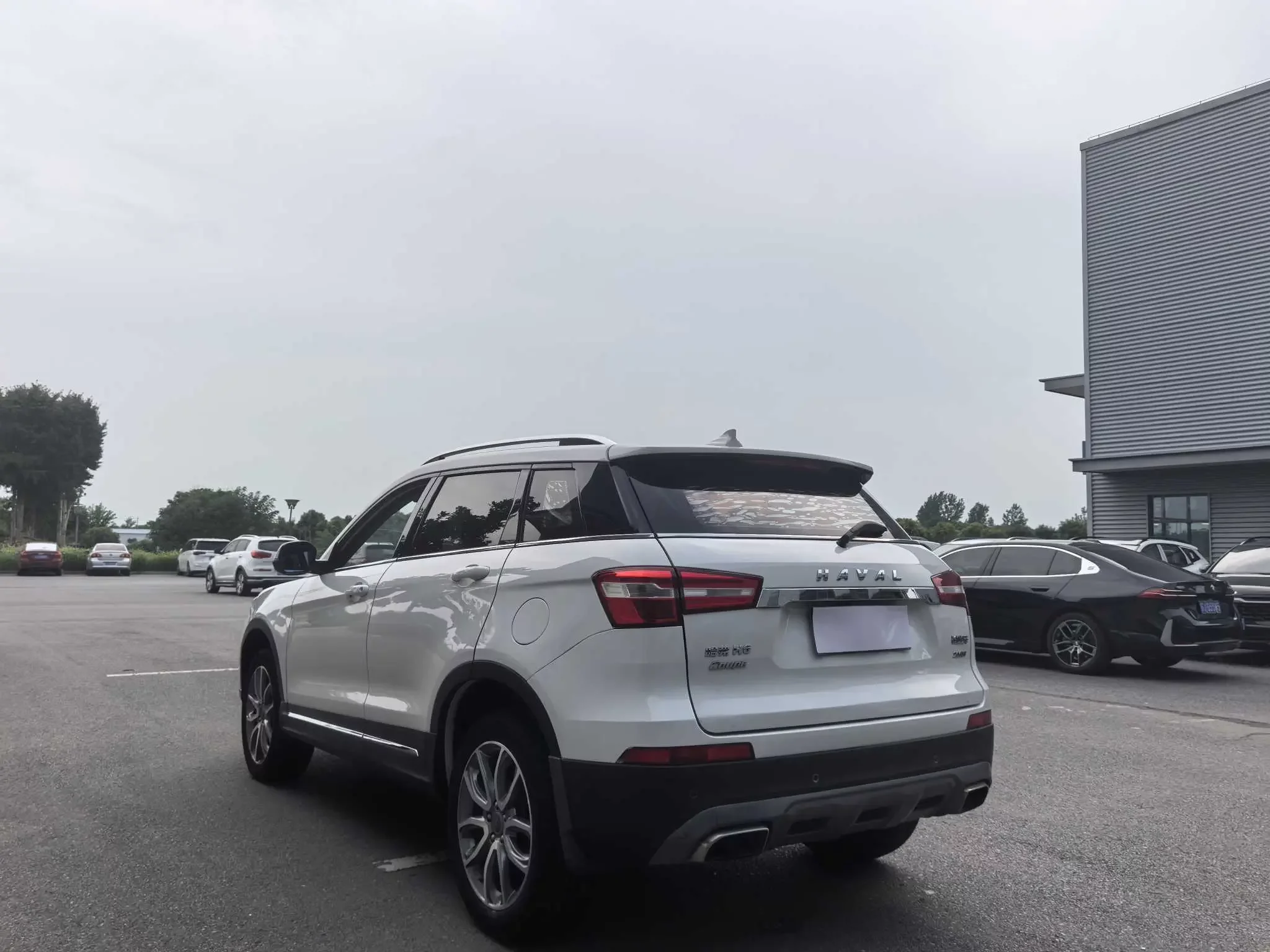 Haval H6 Coupe