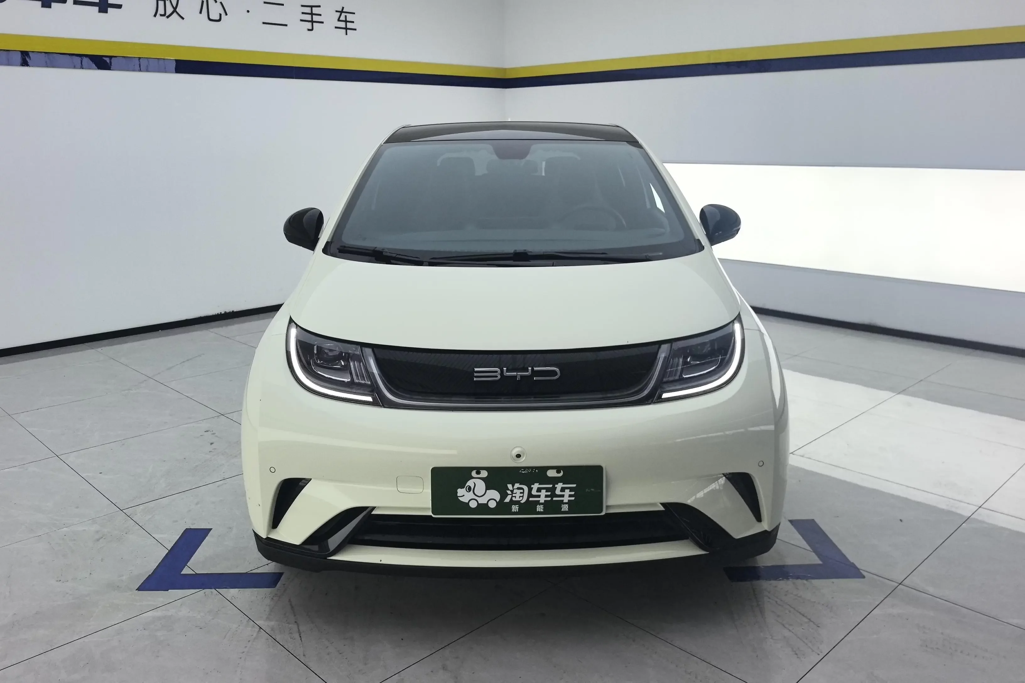BYD Dolphin
