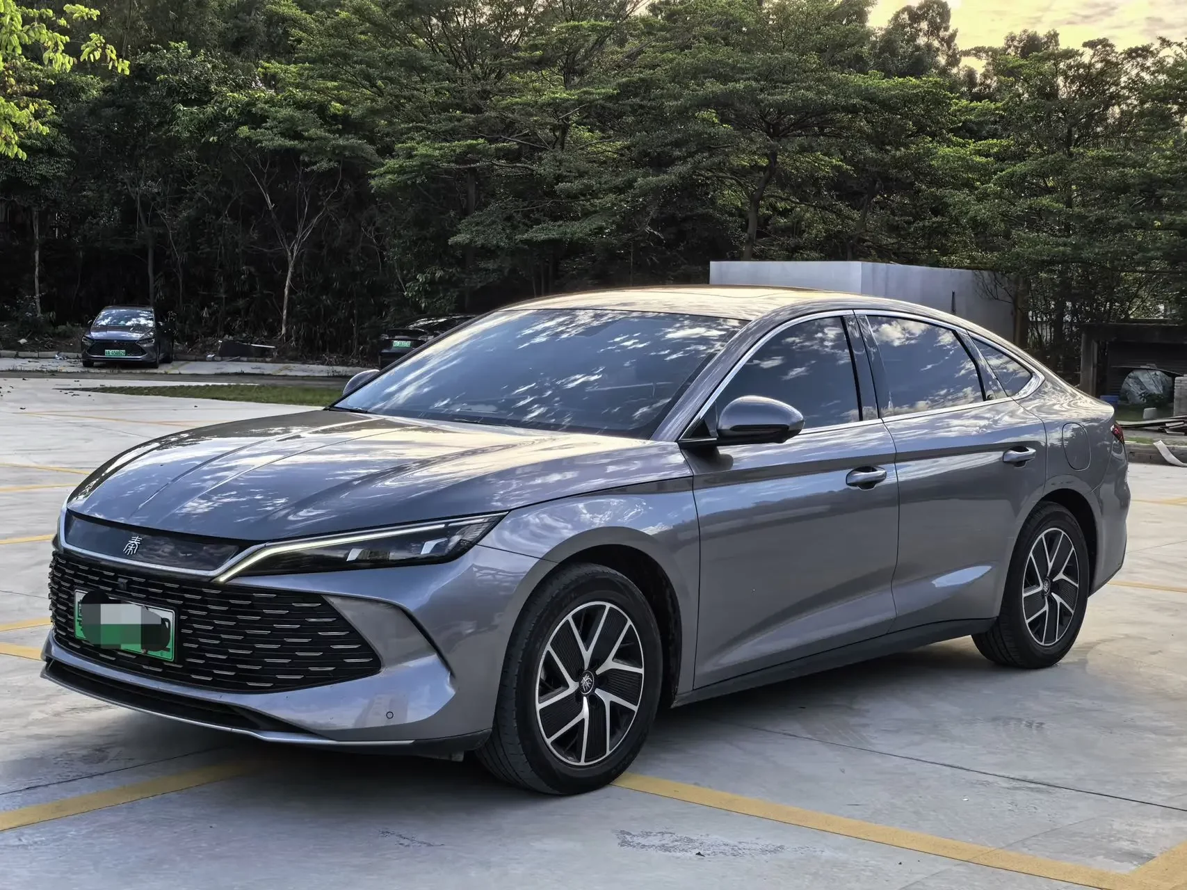 BYD Qin L DM