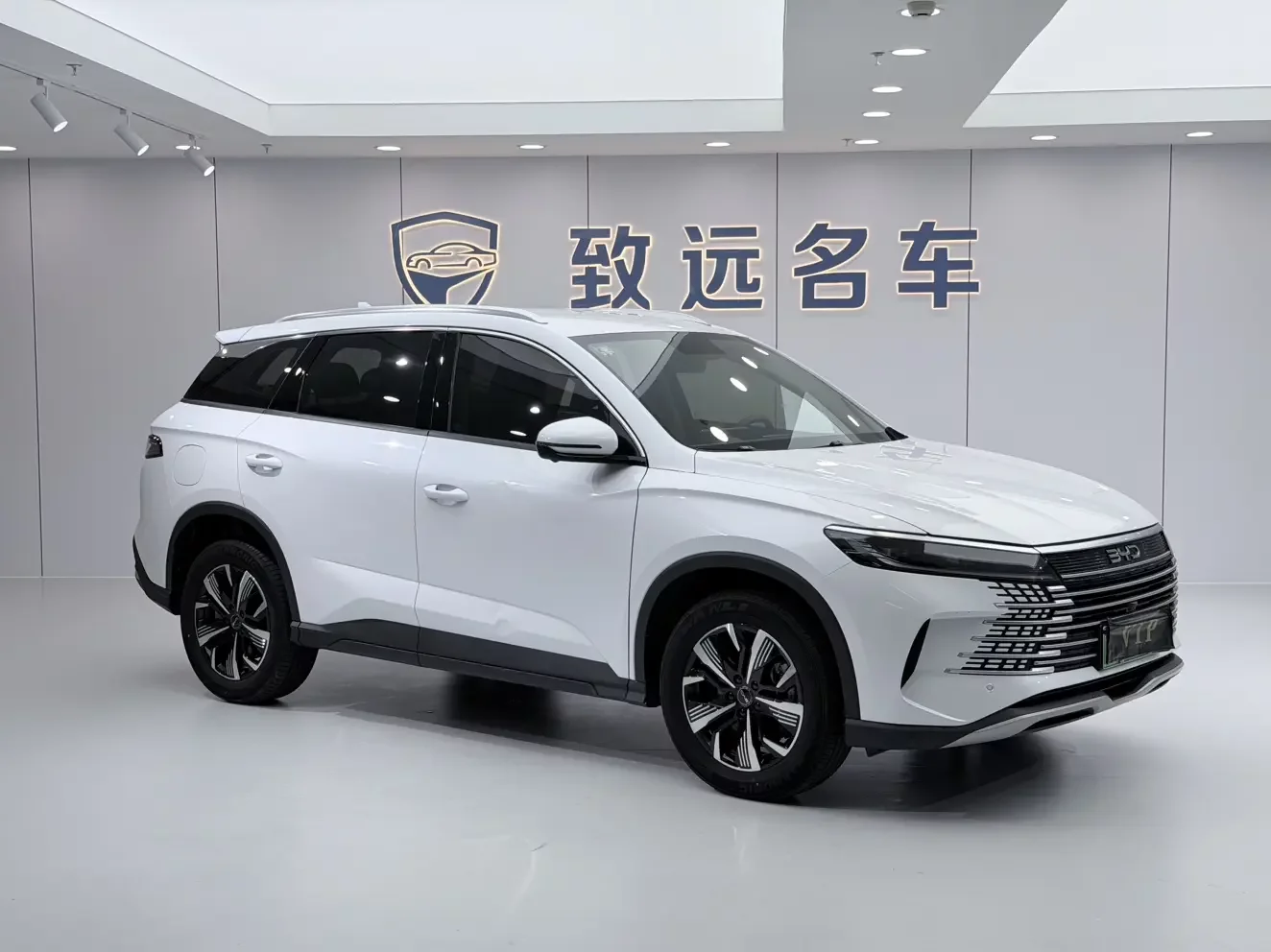 BYD Sea Lion 05DM