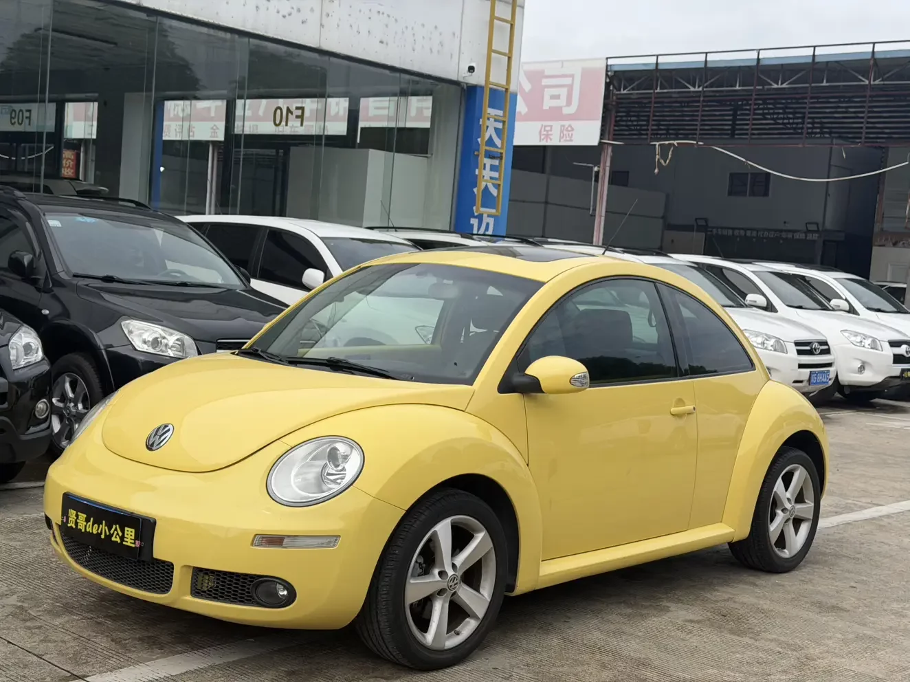 Volkswagen Beetle