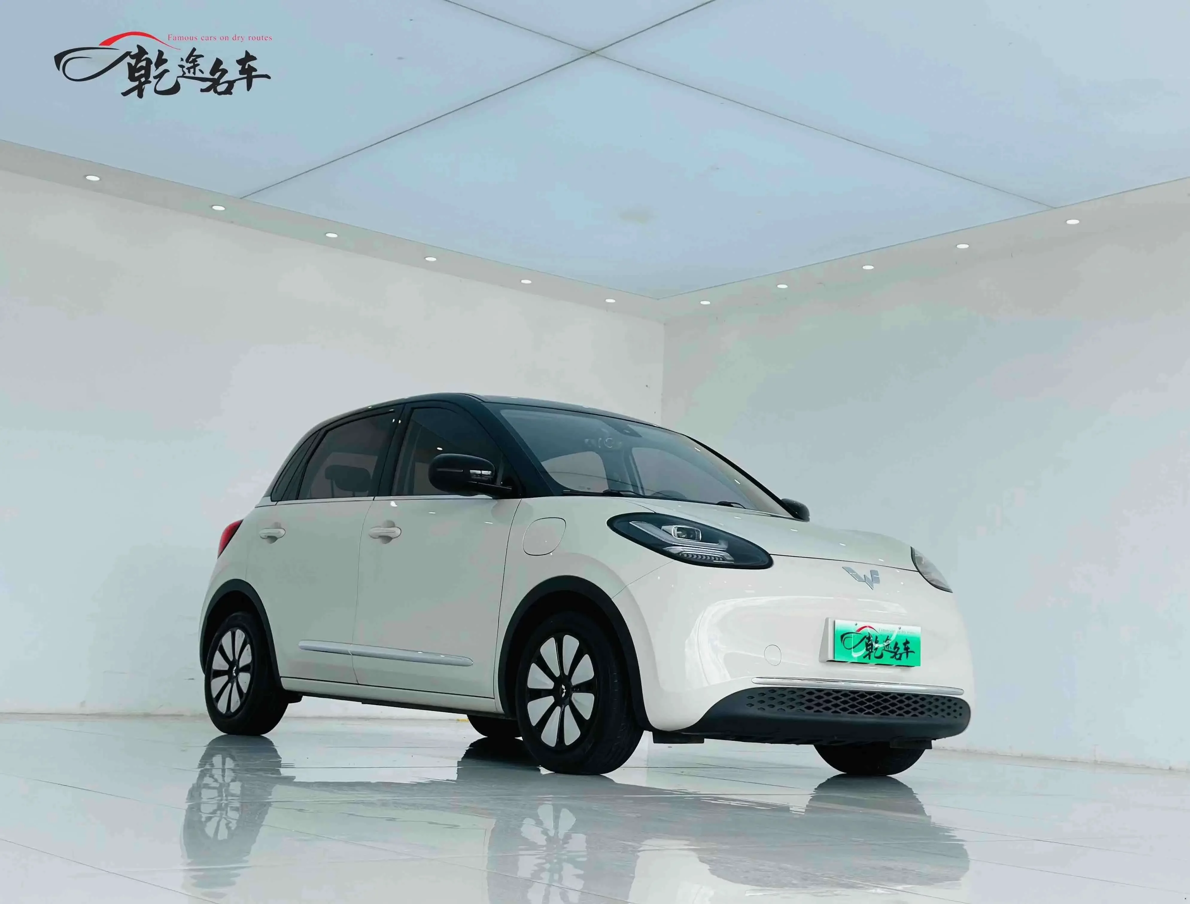 Wuling Bingo