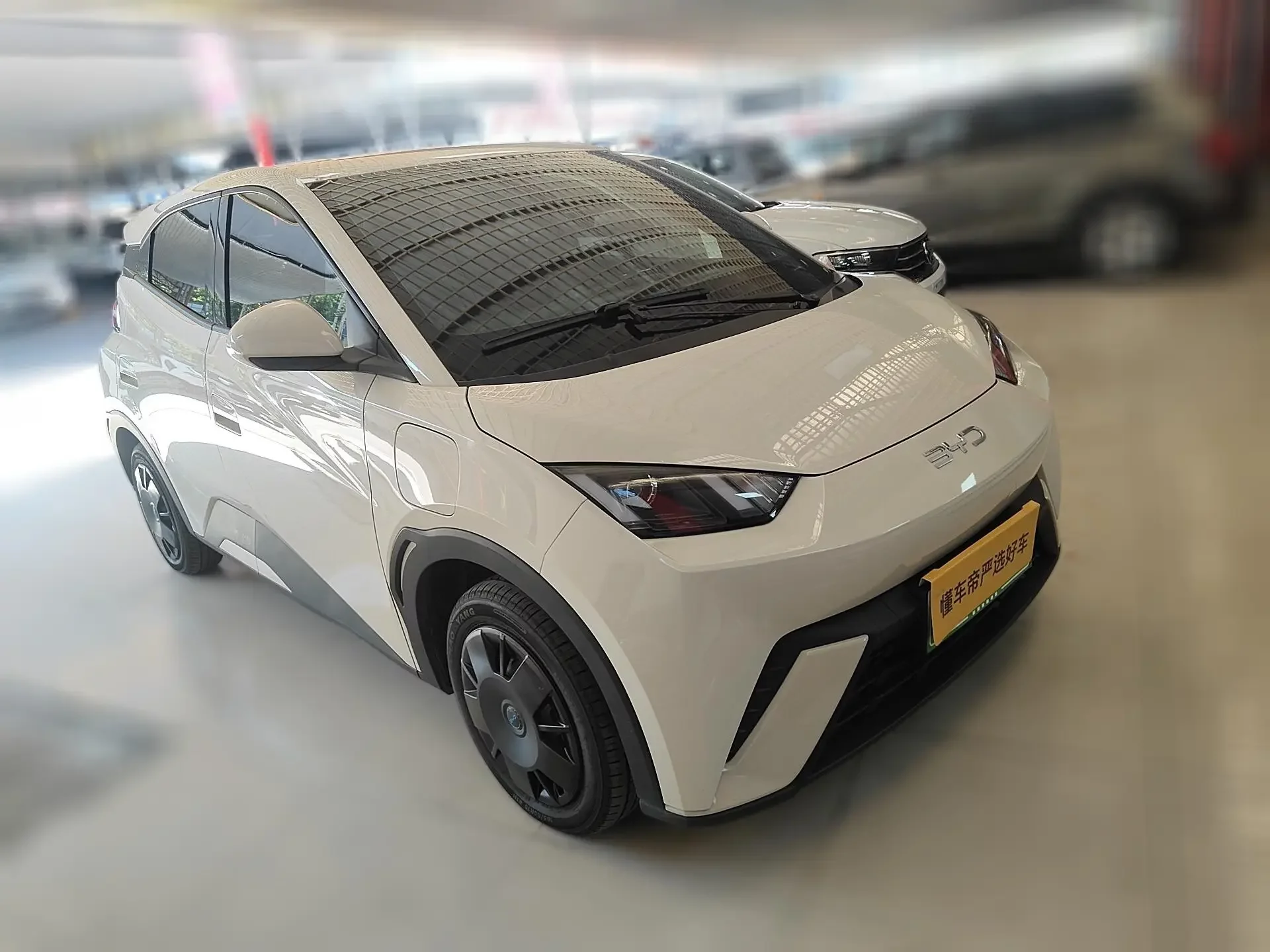 BYD Seagull