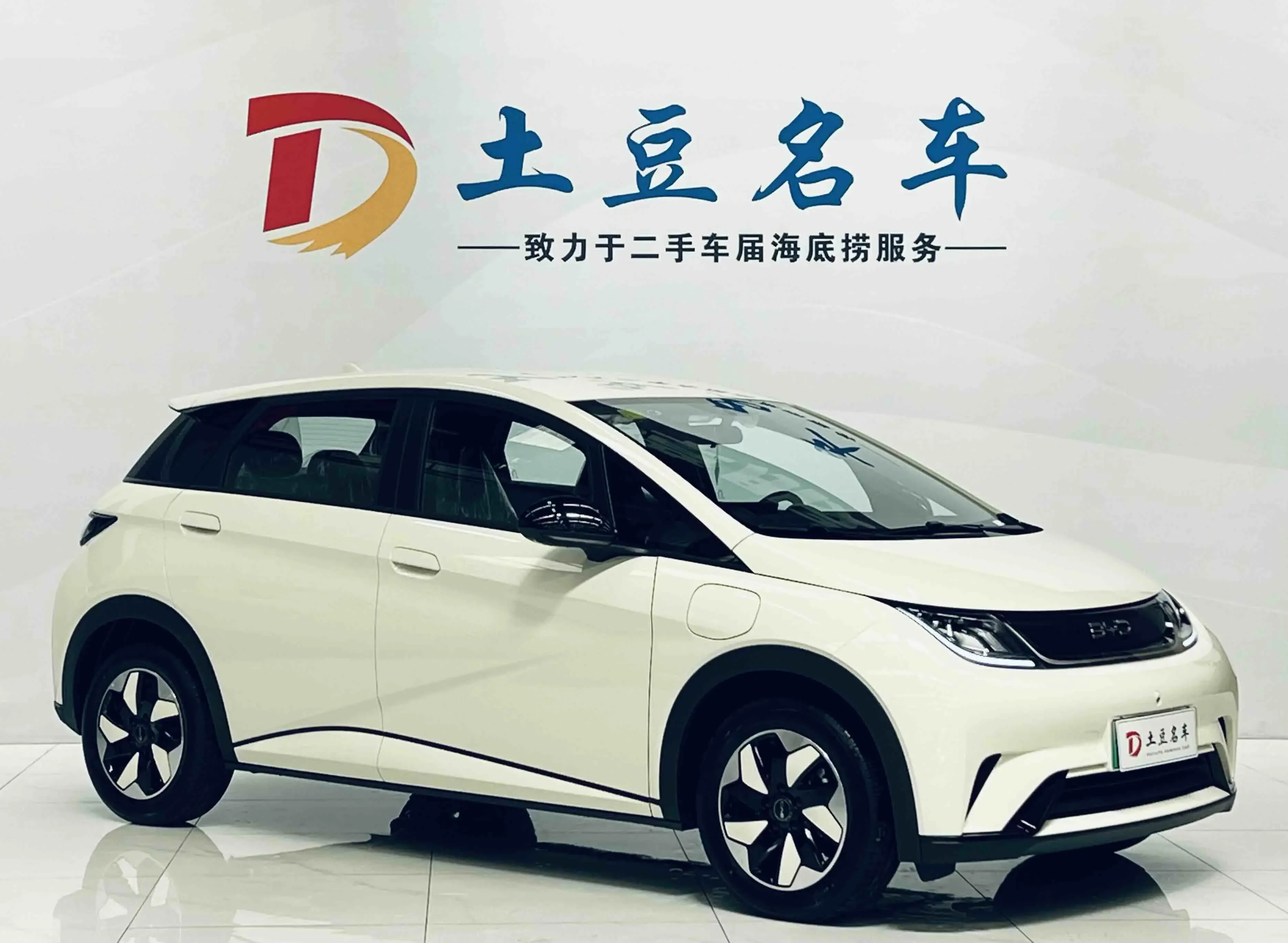 BYD Dolphin