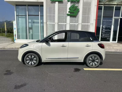 Wuling Bingo