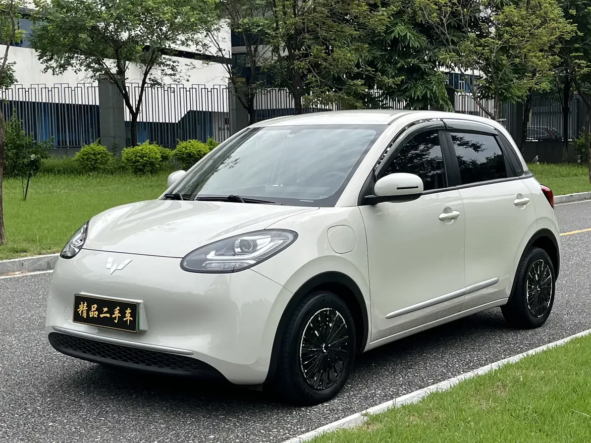 Wuling Bingo