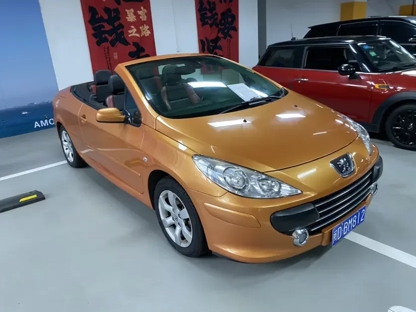 Peugeot 307