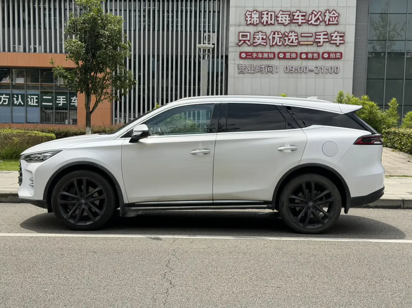 BYD Tang DM