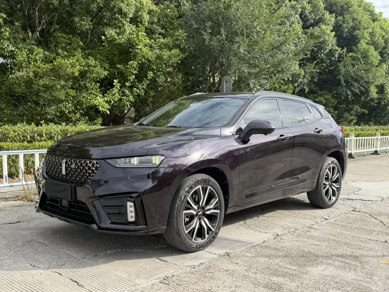Wey Wei brand VV7