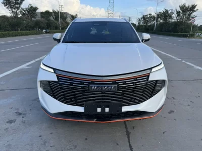 Haval Beast